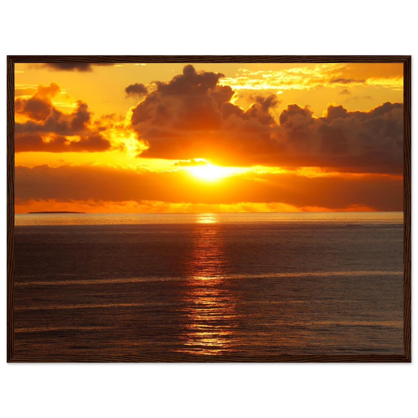 34ff56bc-64ab-4722-a783-b0dc51936661