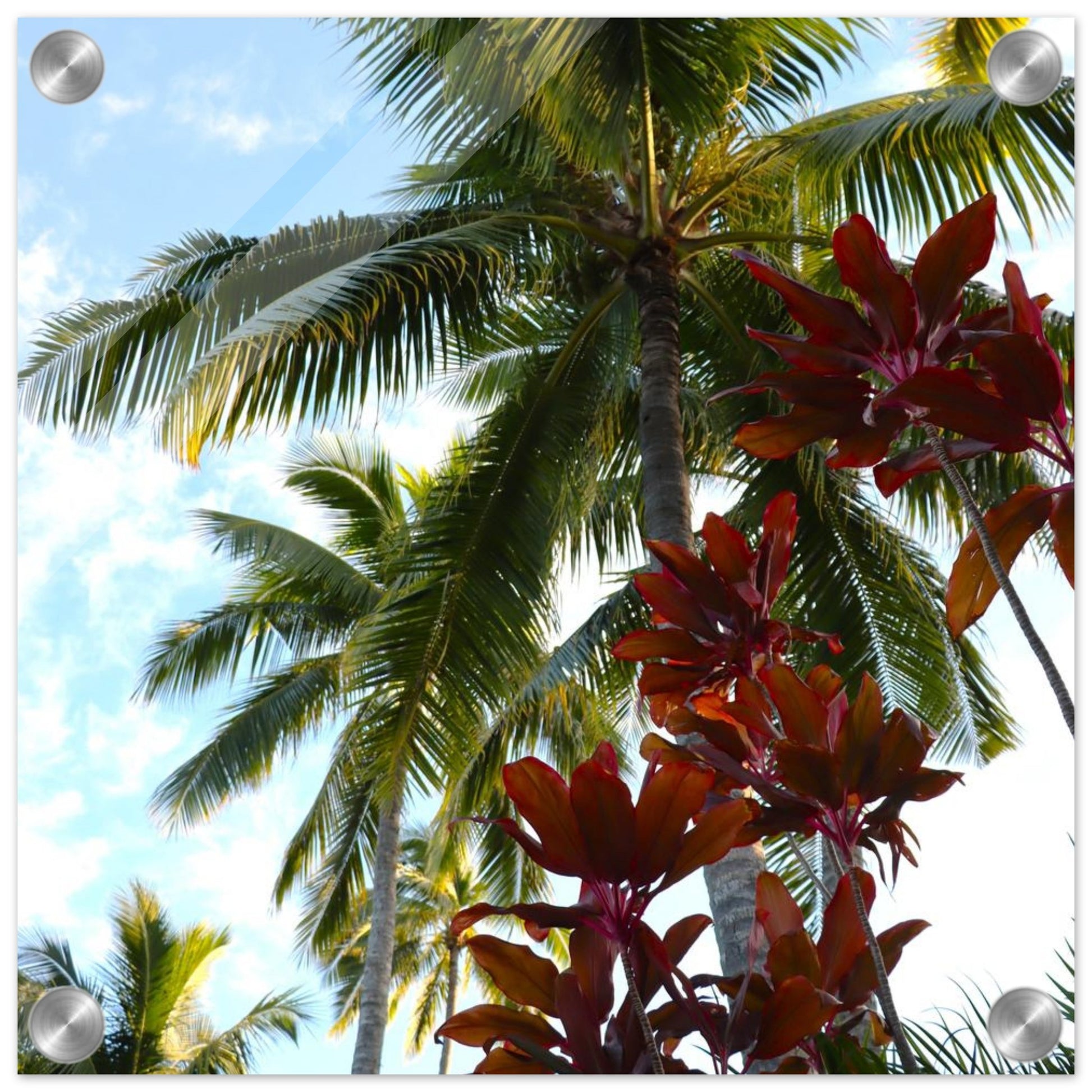 3548a95d-612e-43a9-ad67-5c367be4b13b