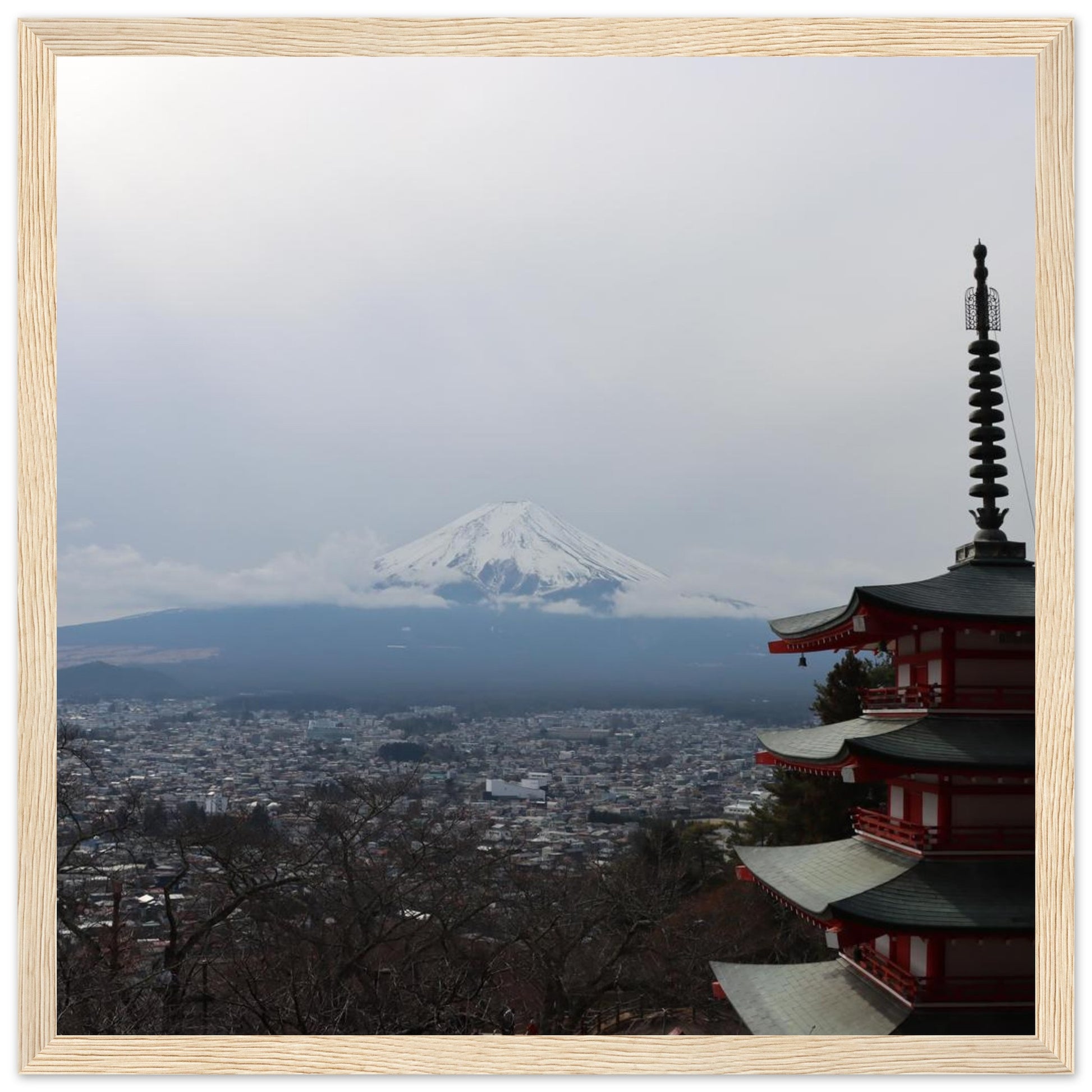 356c298c-428f-48d5-9e22-a2b25db34dde