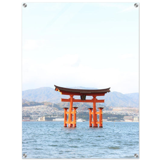 359b7c38-0f56-4804-b5b2-9c8d733eadfe