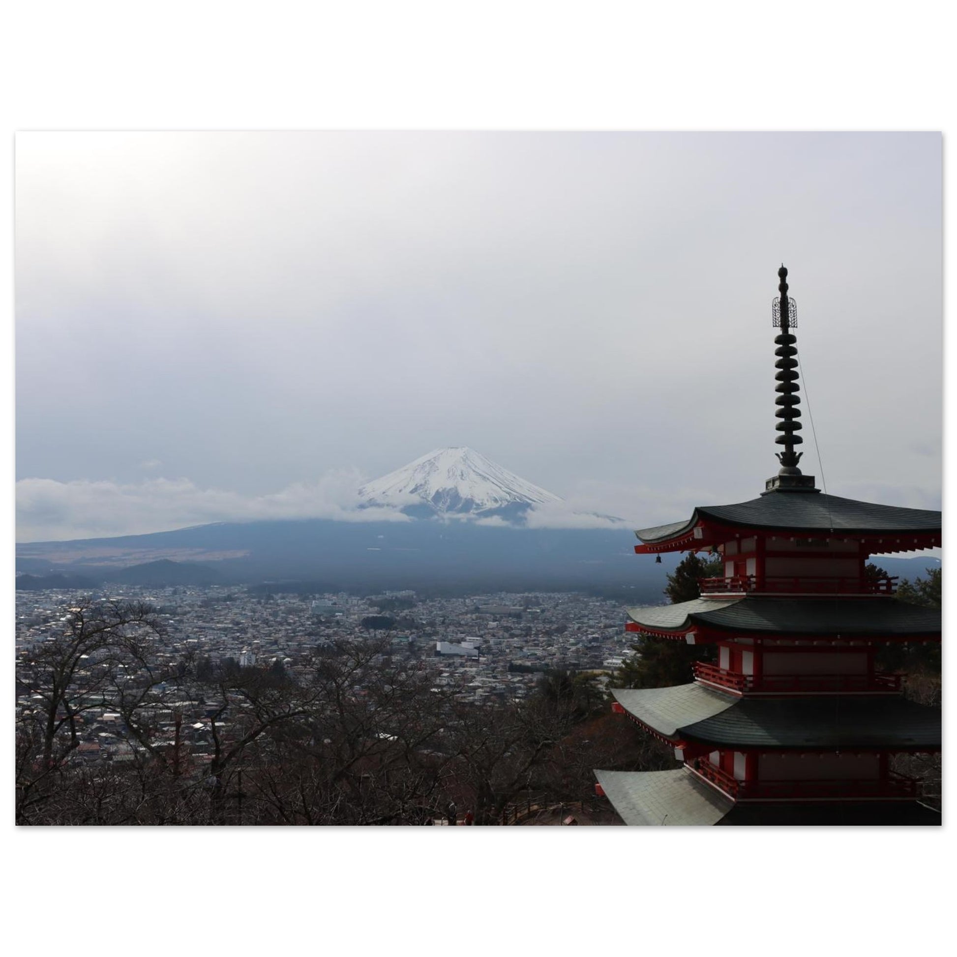 3680309c-c6b2-45d0-ad1a-f3869e8723fd