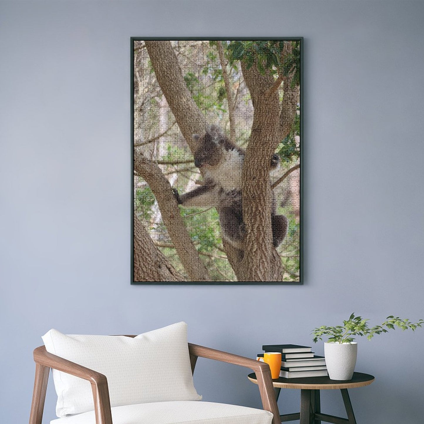 Koala, Australia - 1000-Piece Jigsaw Puzzle