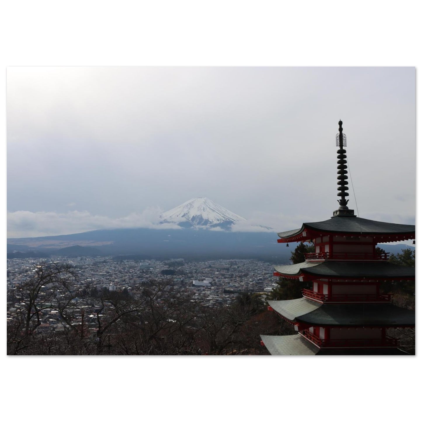 3febc049-0695-4cab-8c2d-c1feaeafb94f