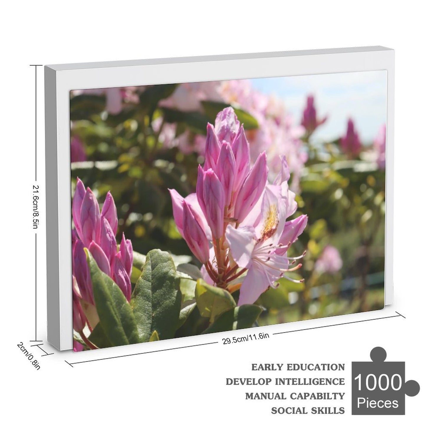 Pink azaleas - 1000-Piece Jigsaw Puzzle