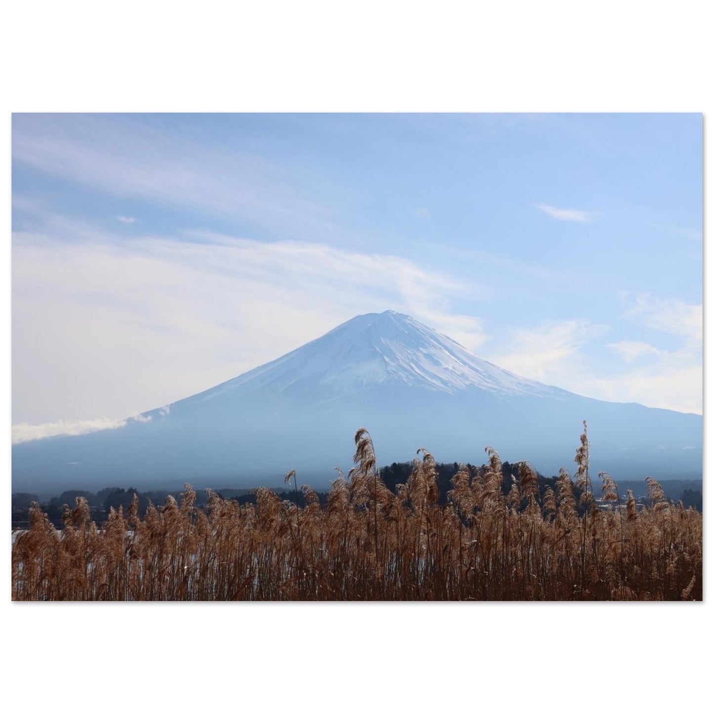43c8614f-67df-4fbe-99a2-03c009105c3f