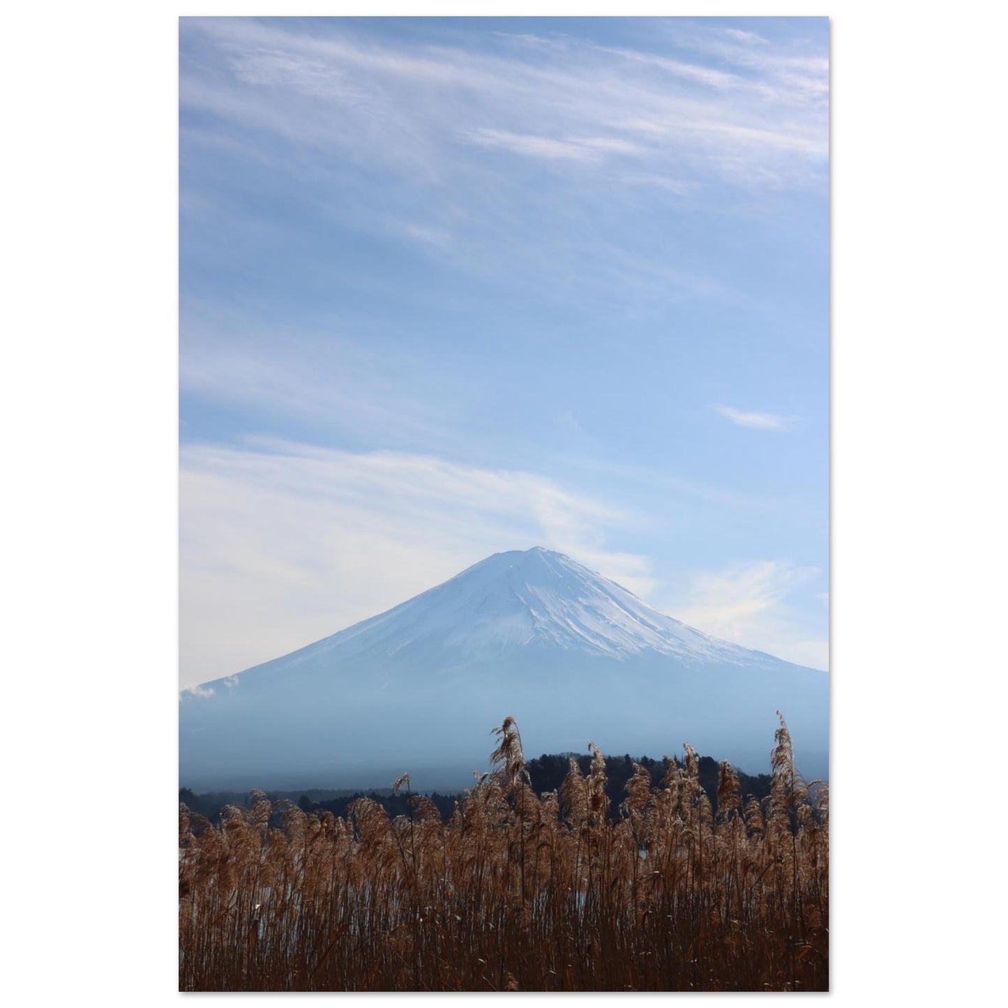 43e63a24-f85f-46c6-bd36-1c33e3805665