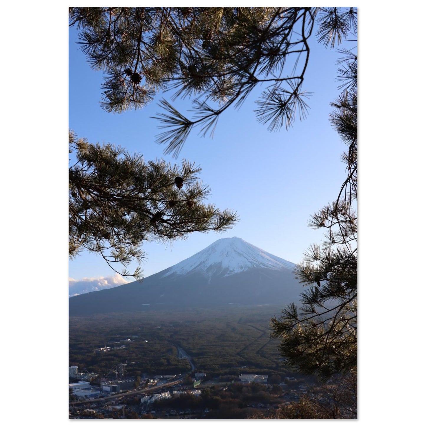 43e944aa-b308-4d22-a549-22476c1f4a7b