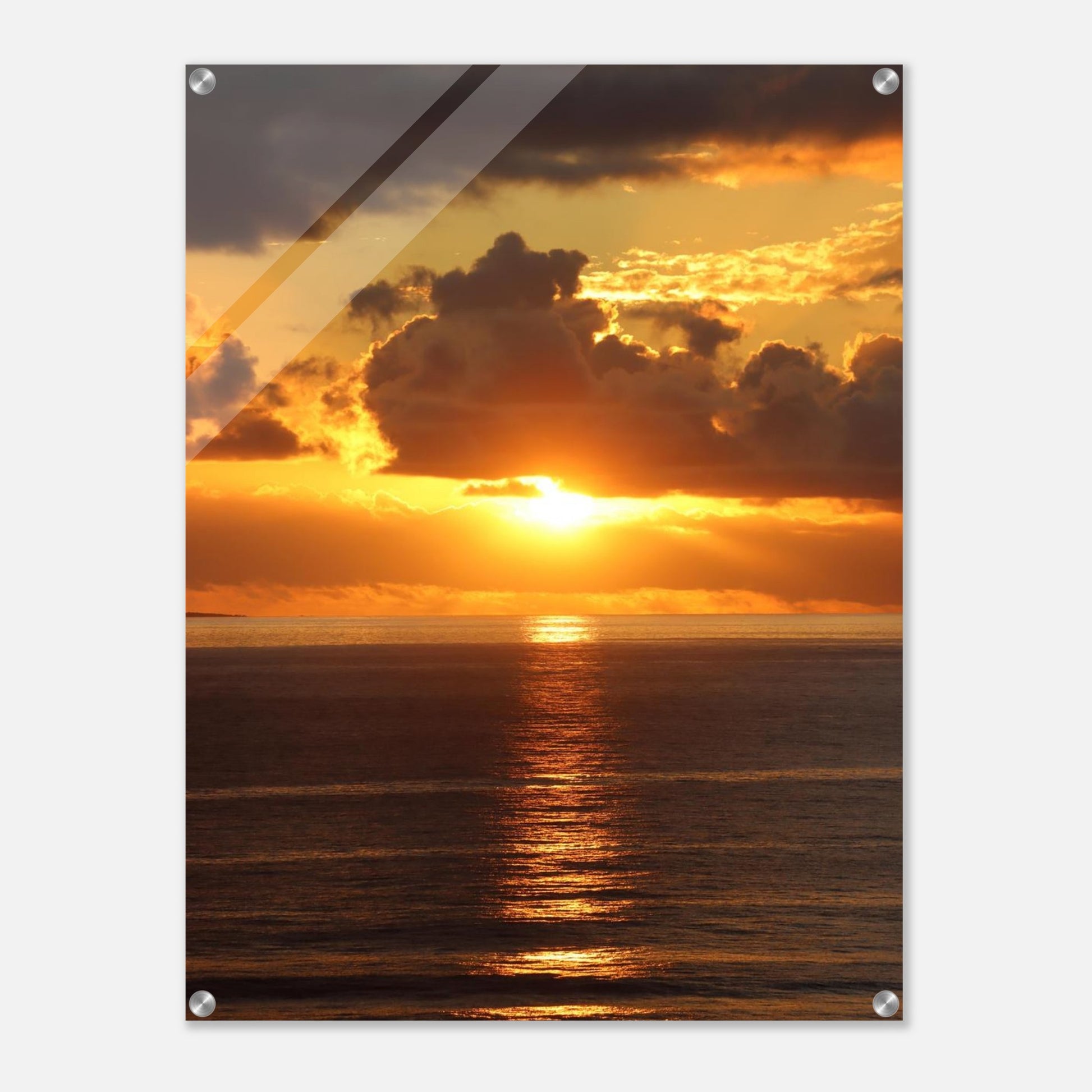 446af8a4-5769-4537-8680-33377265dd20