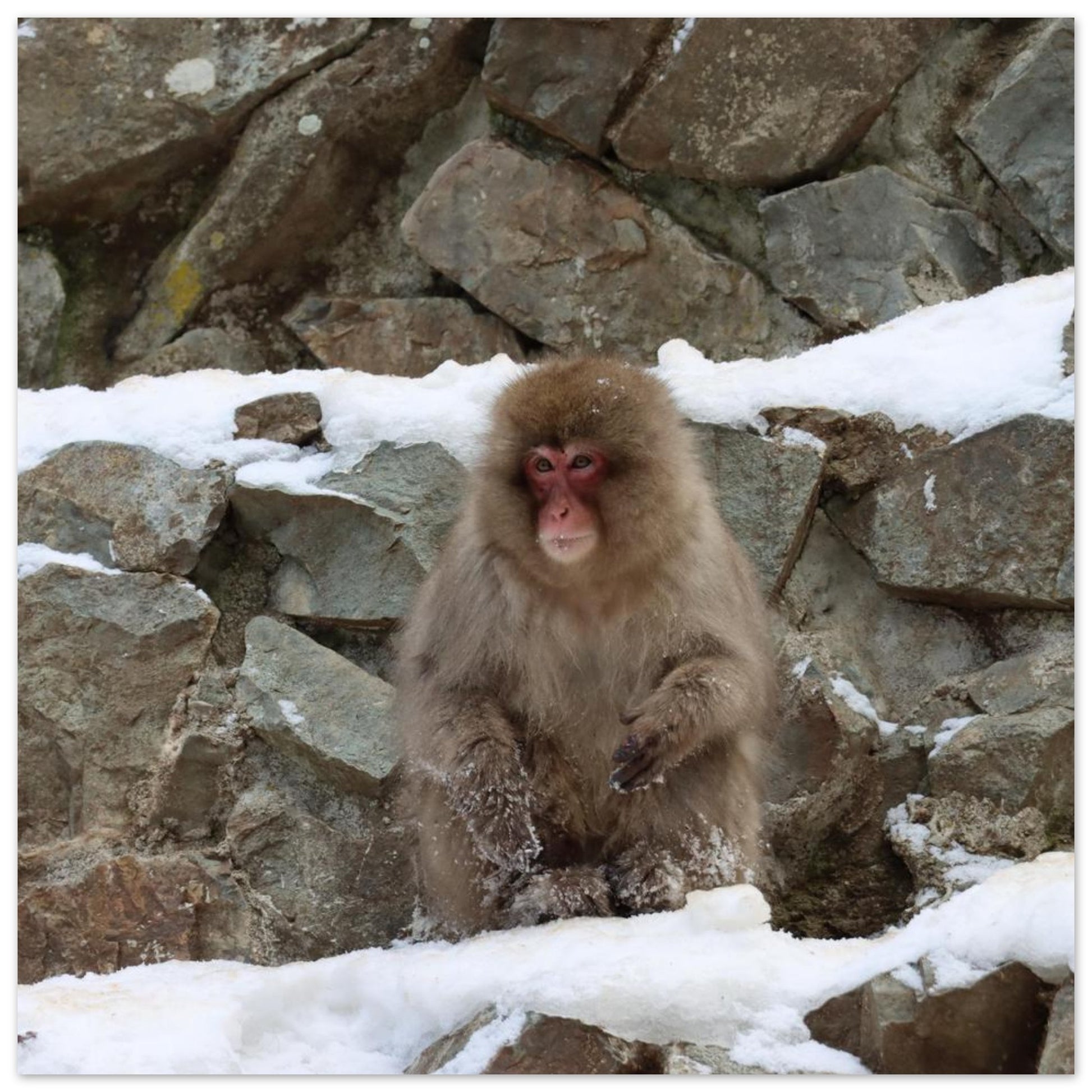 46d7cb47-355a-4d95-a32b-9426564abc95