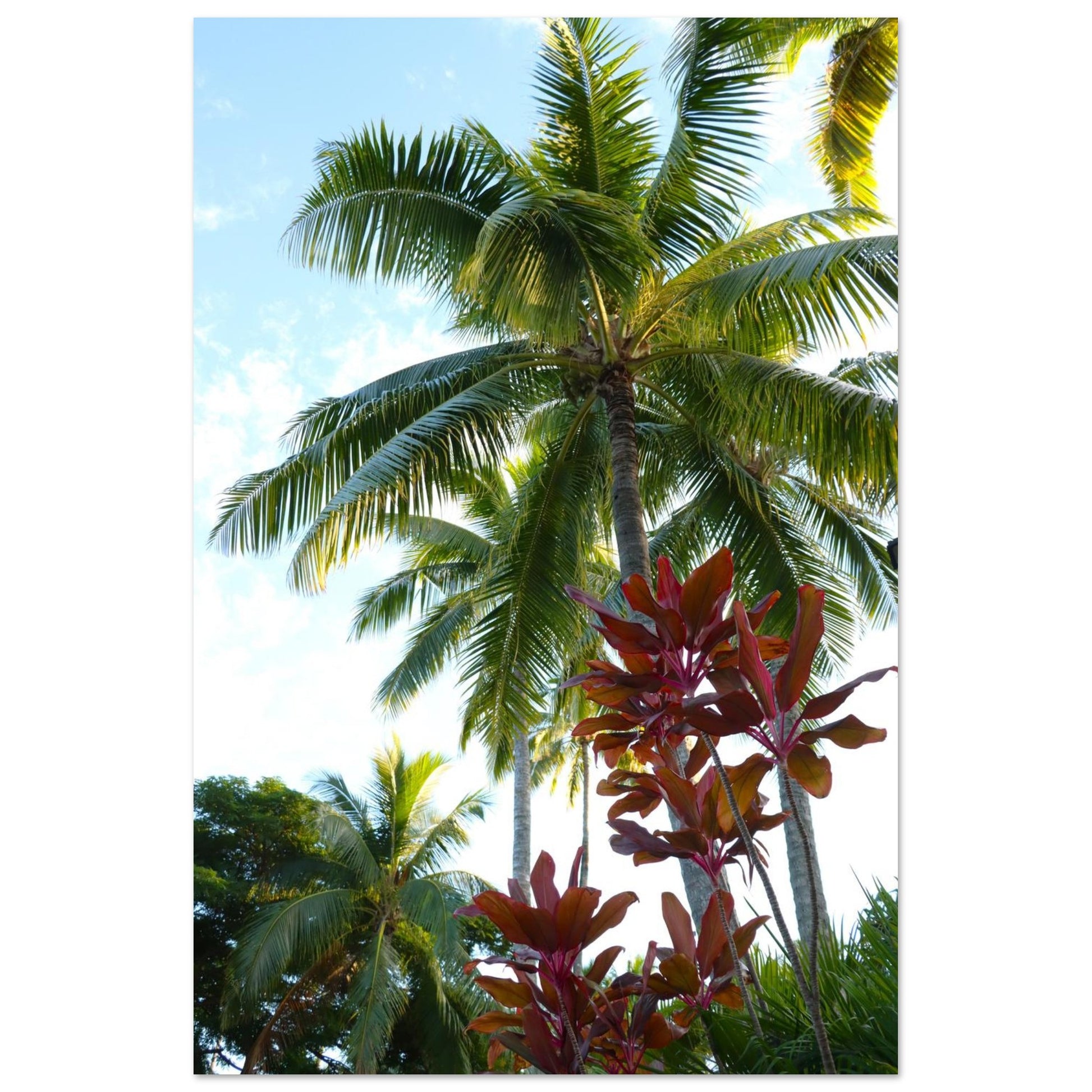 47c2fcad-8f77-4233-ad5a-55f41e8bc9ba