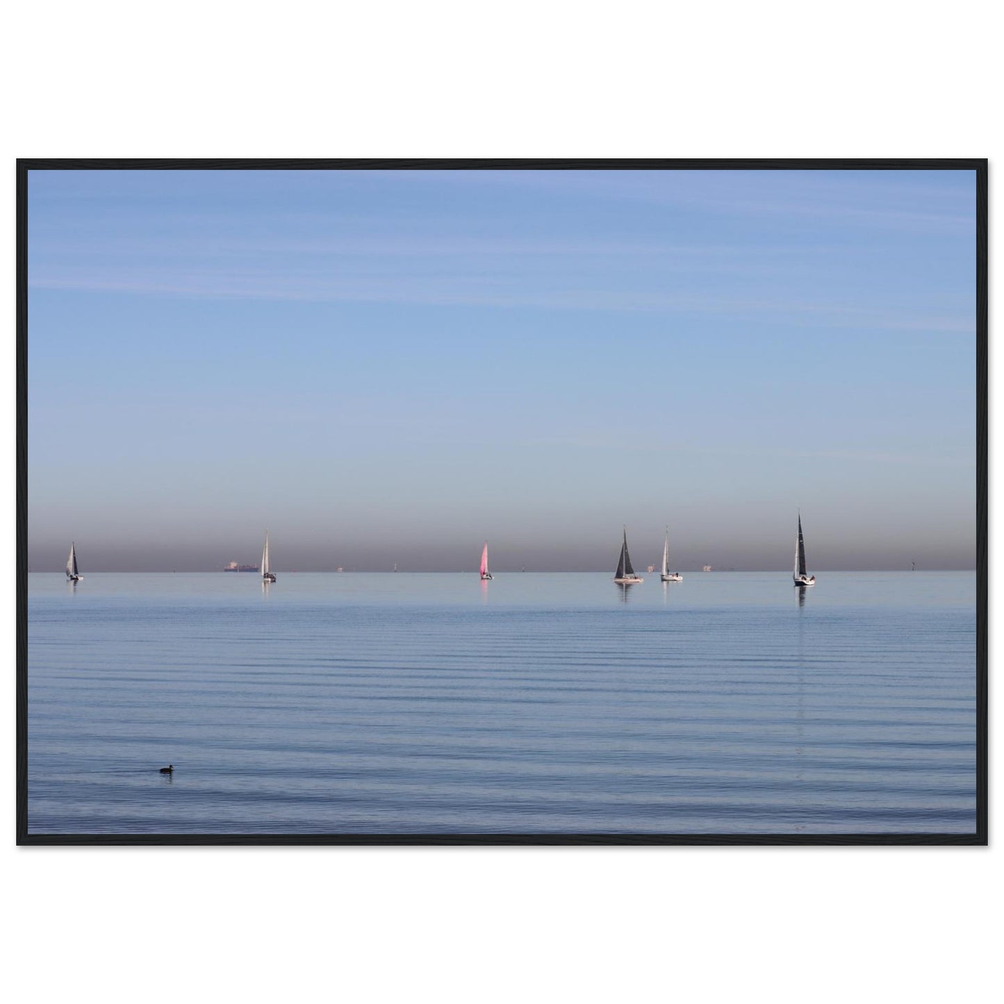 47e99165-be40-4fe9-a061-01a65fc61d06