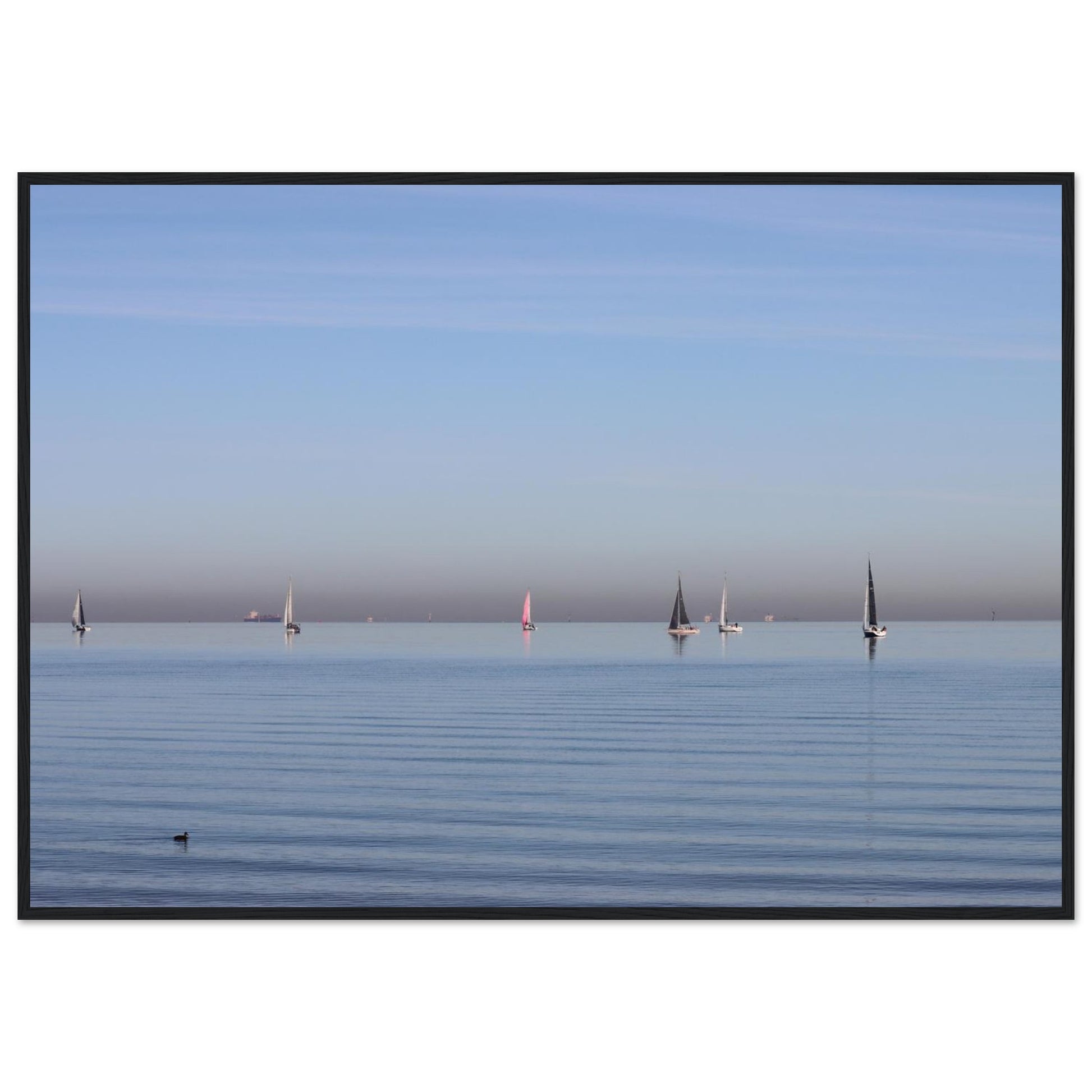 47e99165-be40-4fe9-a061-01a65fc61d06