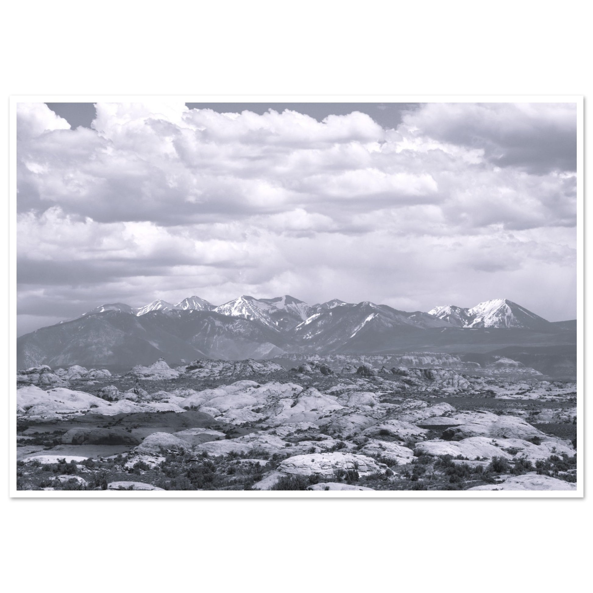 48fe4d1e-8696-4abc-a56c-ede3ce8217d0