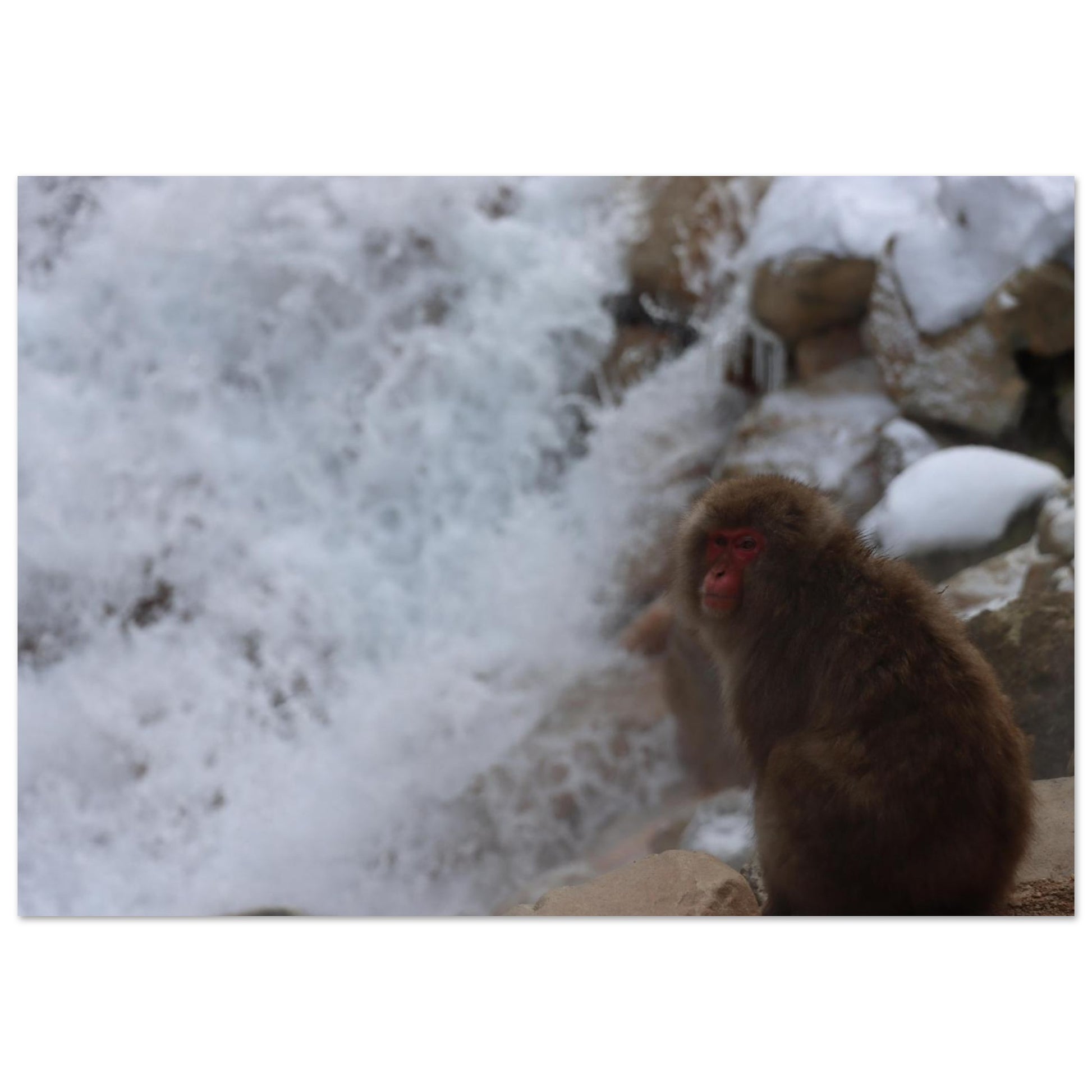 4acf9471-2de9-49ea-80c9-cf17bb6c2557