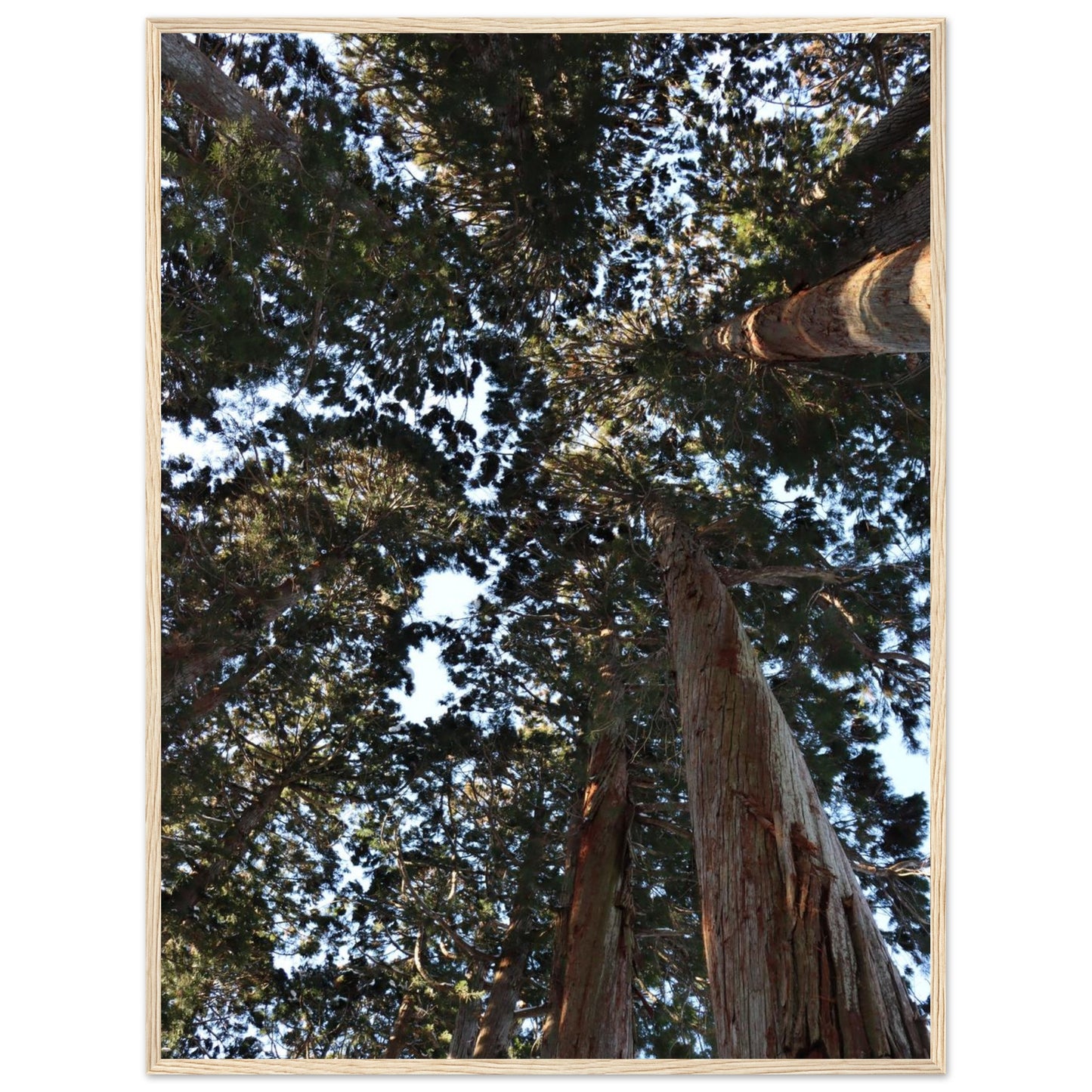 4eddc828-e70f-427e-a8a8-7dbcff6b6c81
