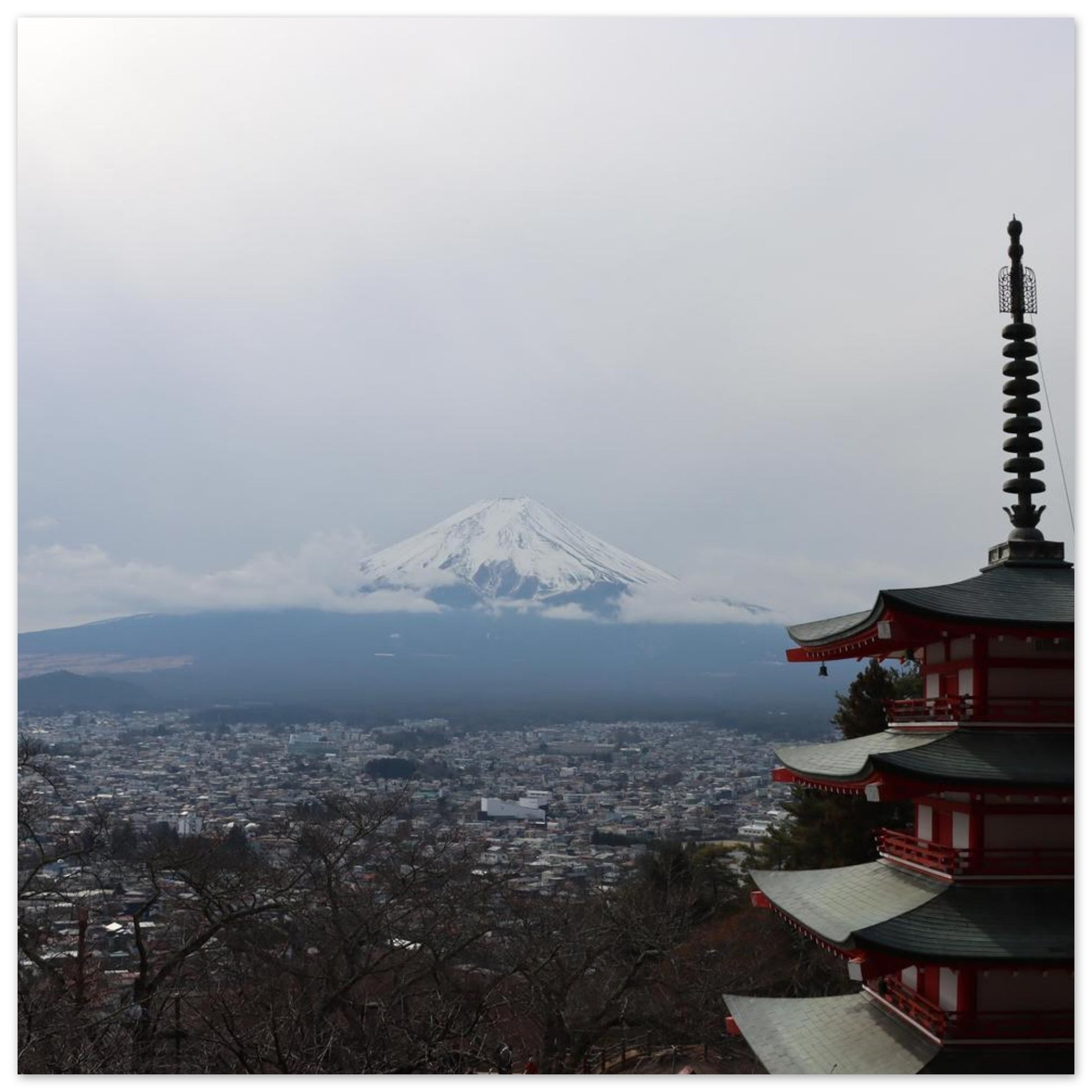 5114411d-9fed-40f0-b083-4e940b759484