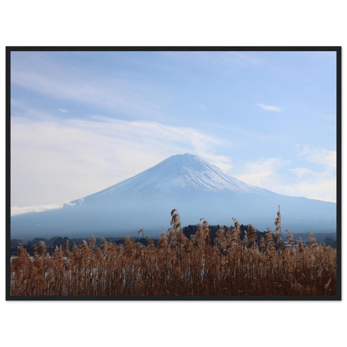 51f82bab-7c60-45ef-8ae9-29e187c19926