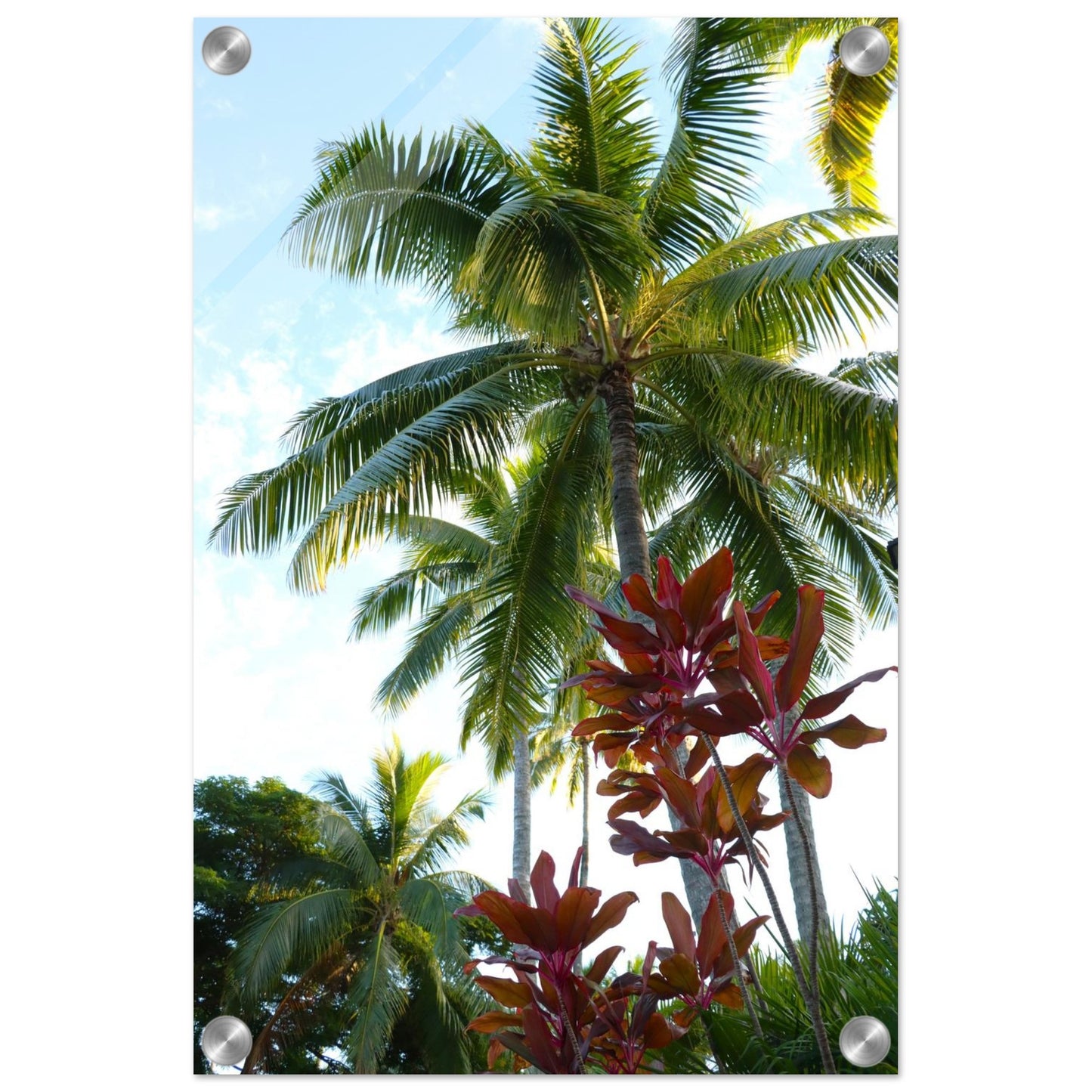 52b5396f-e4a7-418c-8f9c-d40f2ad00ad8