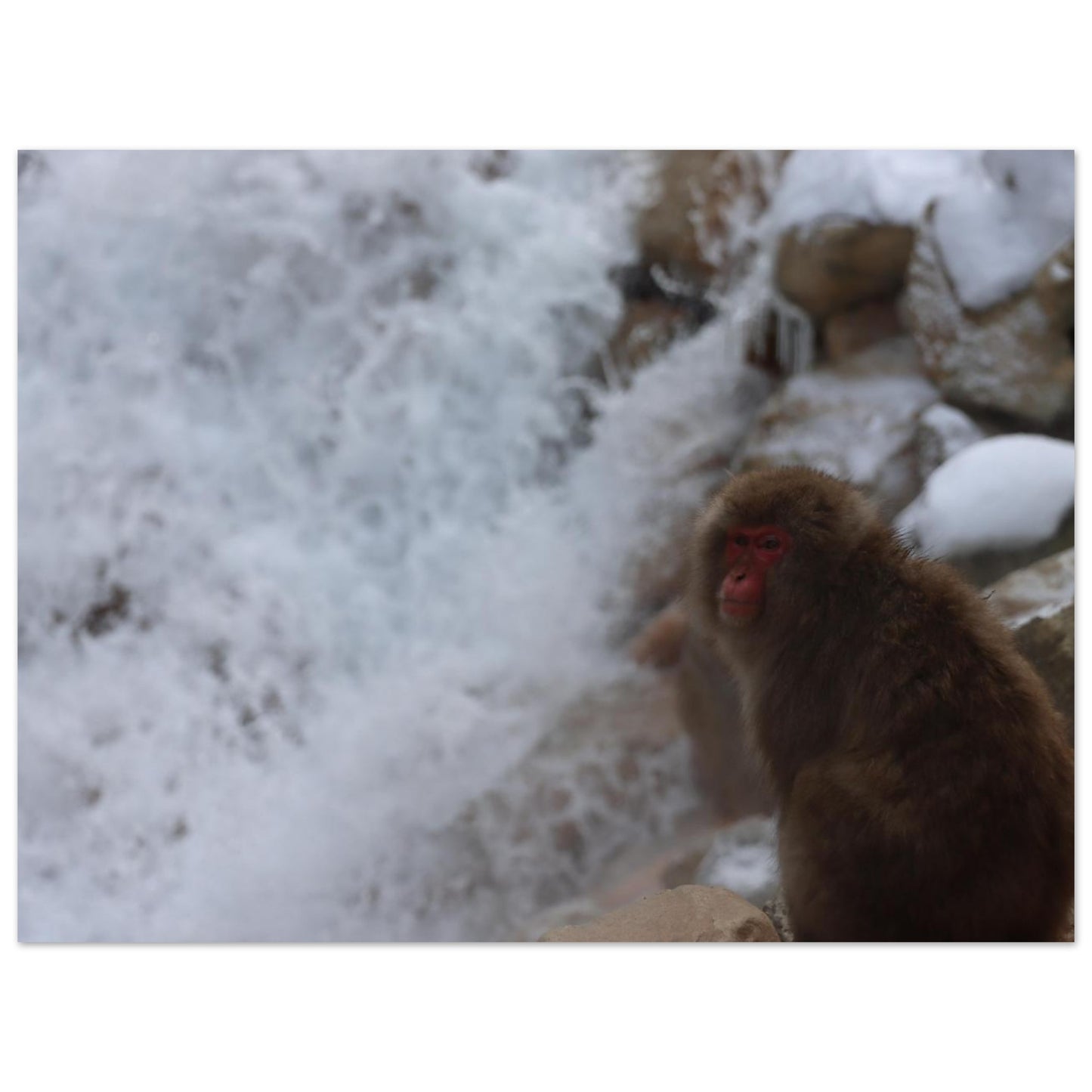 565424a5-5d1c-470a-9ad6-81ebccc2b523