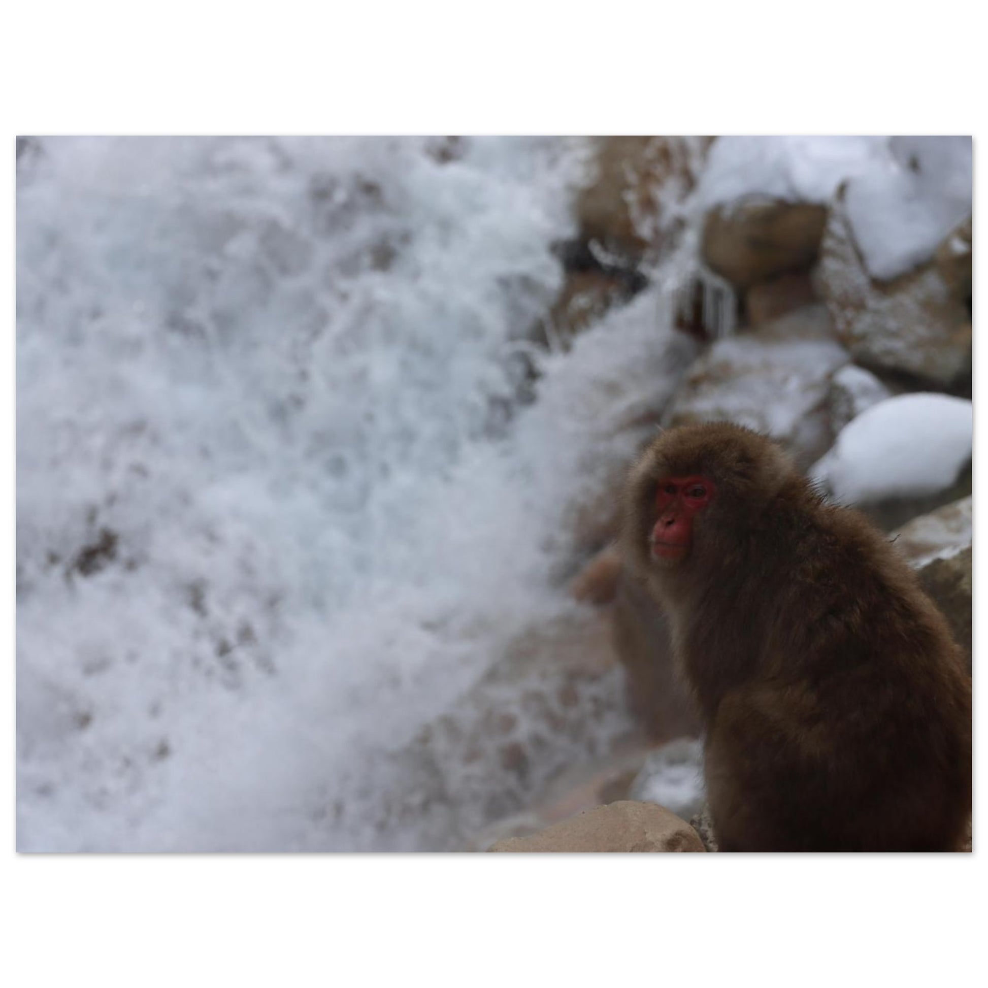 565424a5-5d1c-470a-9ad6-81ebccc2b523