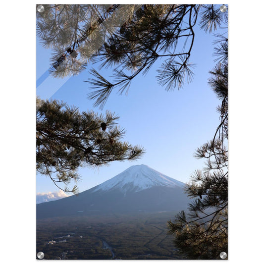 58187788-6d0b-4726-a298-b140d8bcab9b