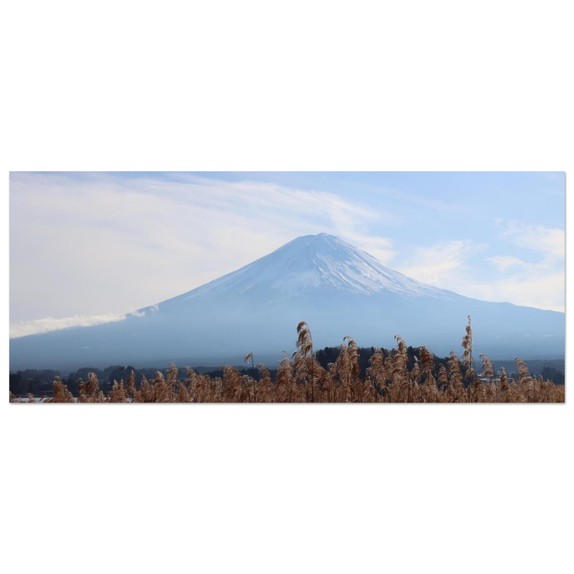 58a6e58c-9692-423b-a073-4b7848730a77