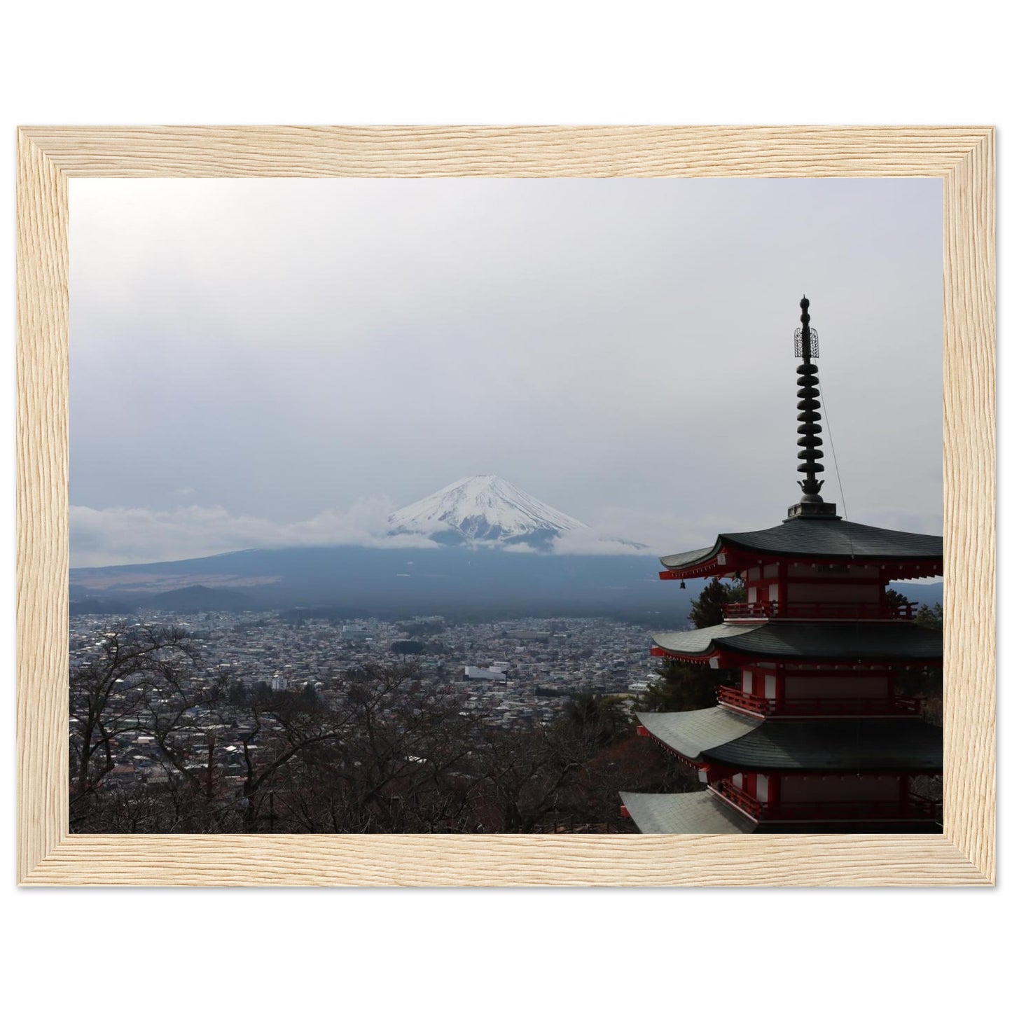 58b71ec0-6993-479d-95a2-4a6142c4088a