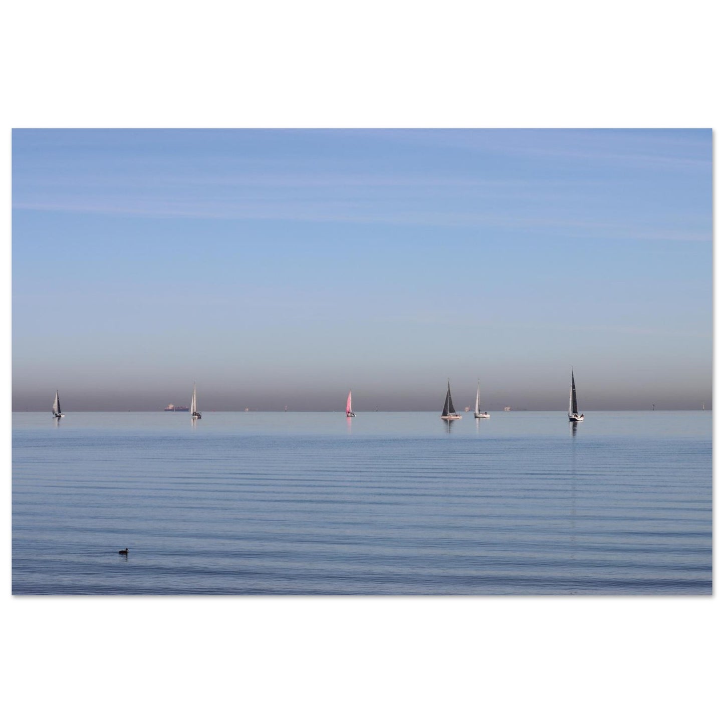 5ea6573f-d84b-44fd-a6b1-655fd43217d0