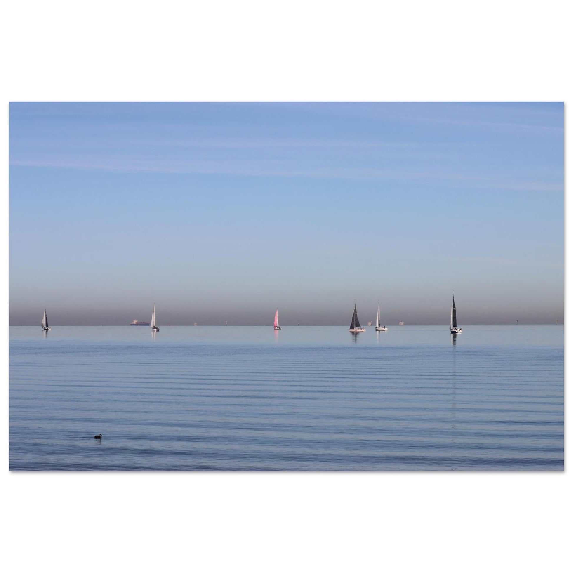 5ea6573f-d84b-44fd-a6b1-655fd43217d0