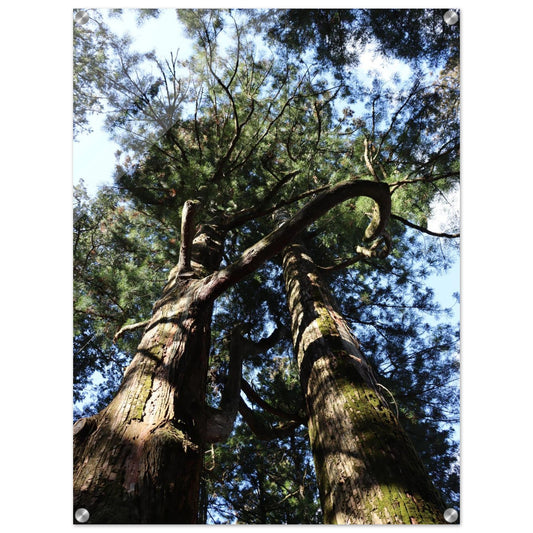 66b02fc3-4e9b-4f49-8630-f64a37ac939f