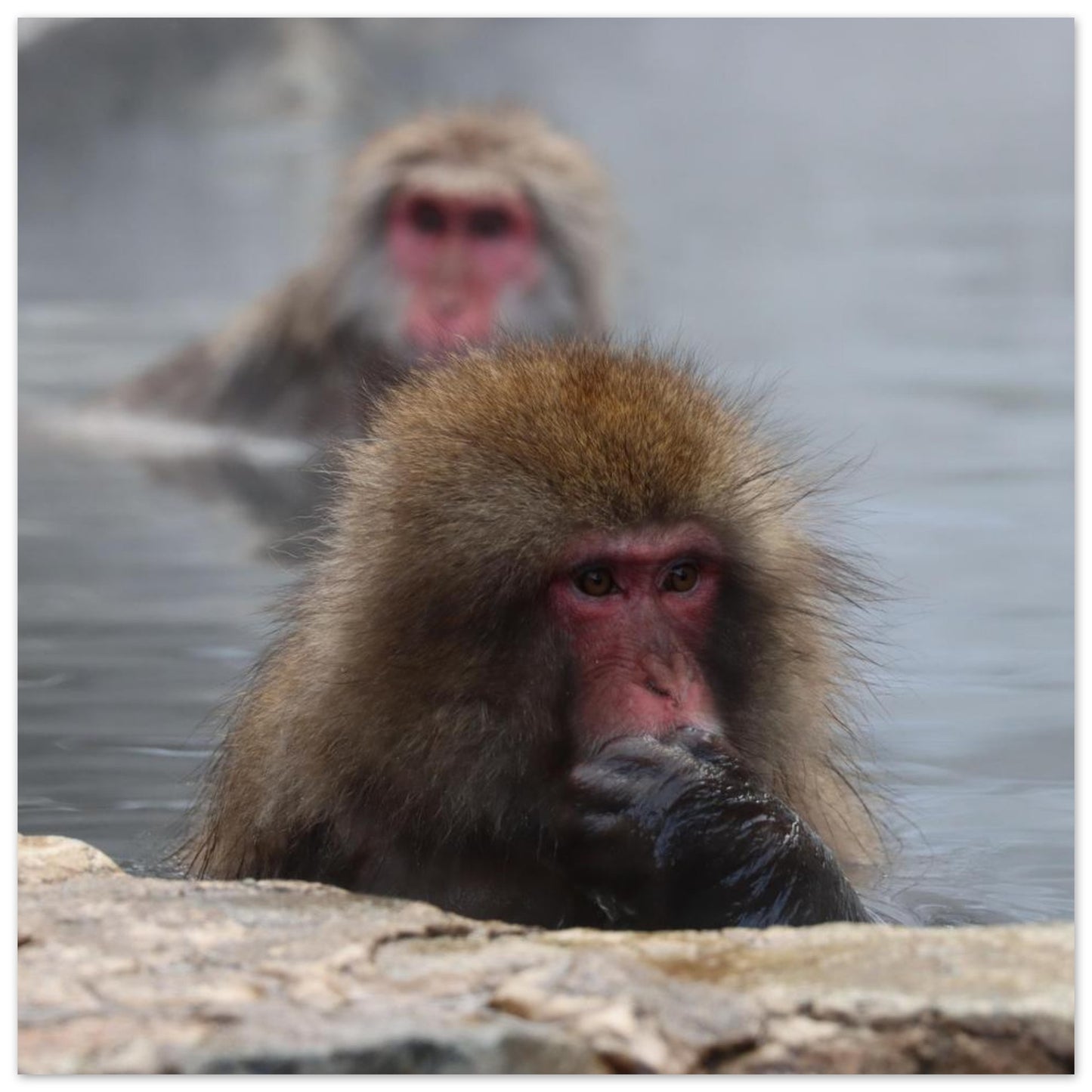 679dec02-13e3-4c50-bfa7-6fb8910bb30a