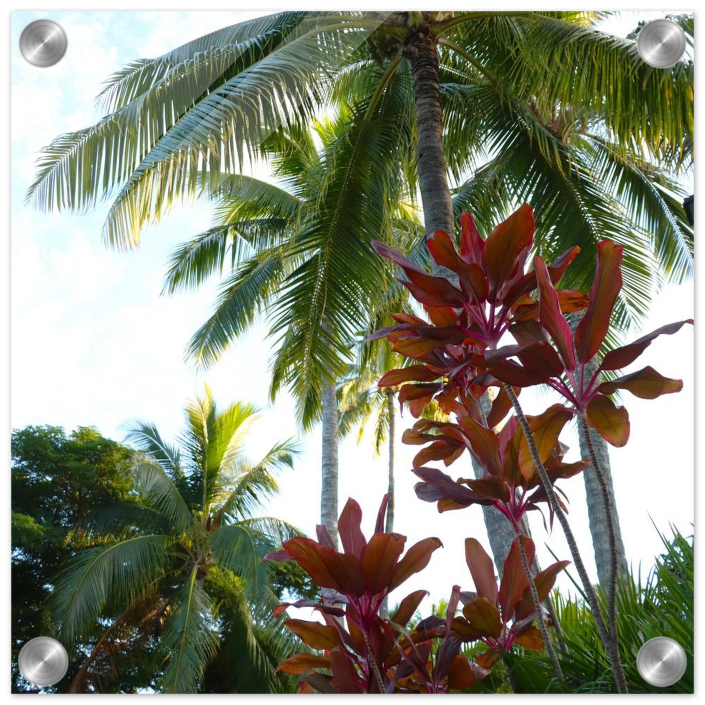 68d9dbd4-d204-4d4c-93bb-f01c47ed21c1