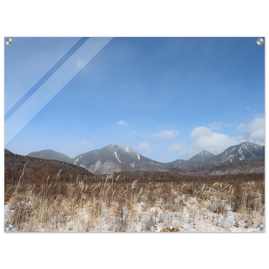 6a8ad834-f023-451d-ace2-4a52bb208e2f