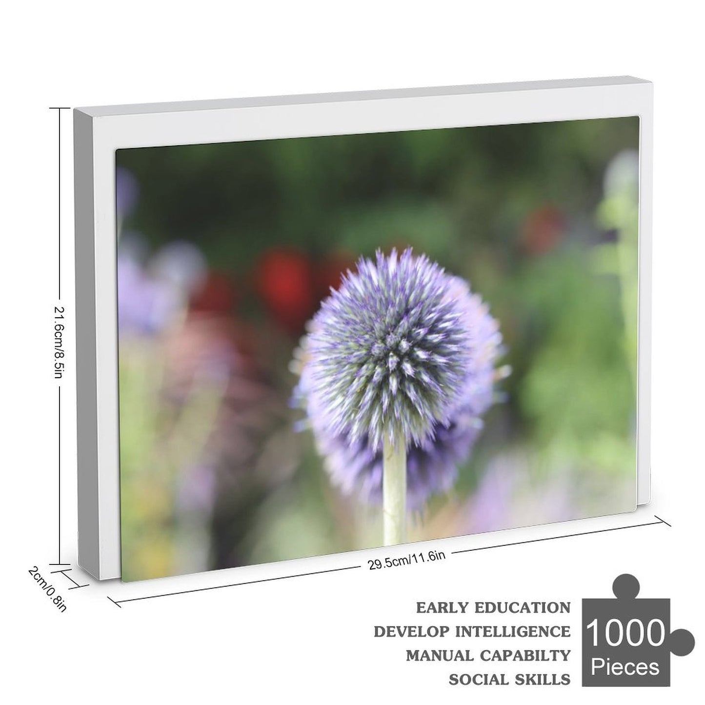 Globe thistle - 1000-Piece Jigsaw Puzzle