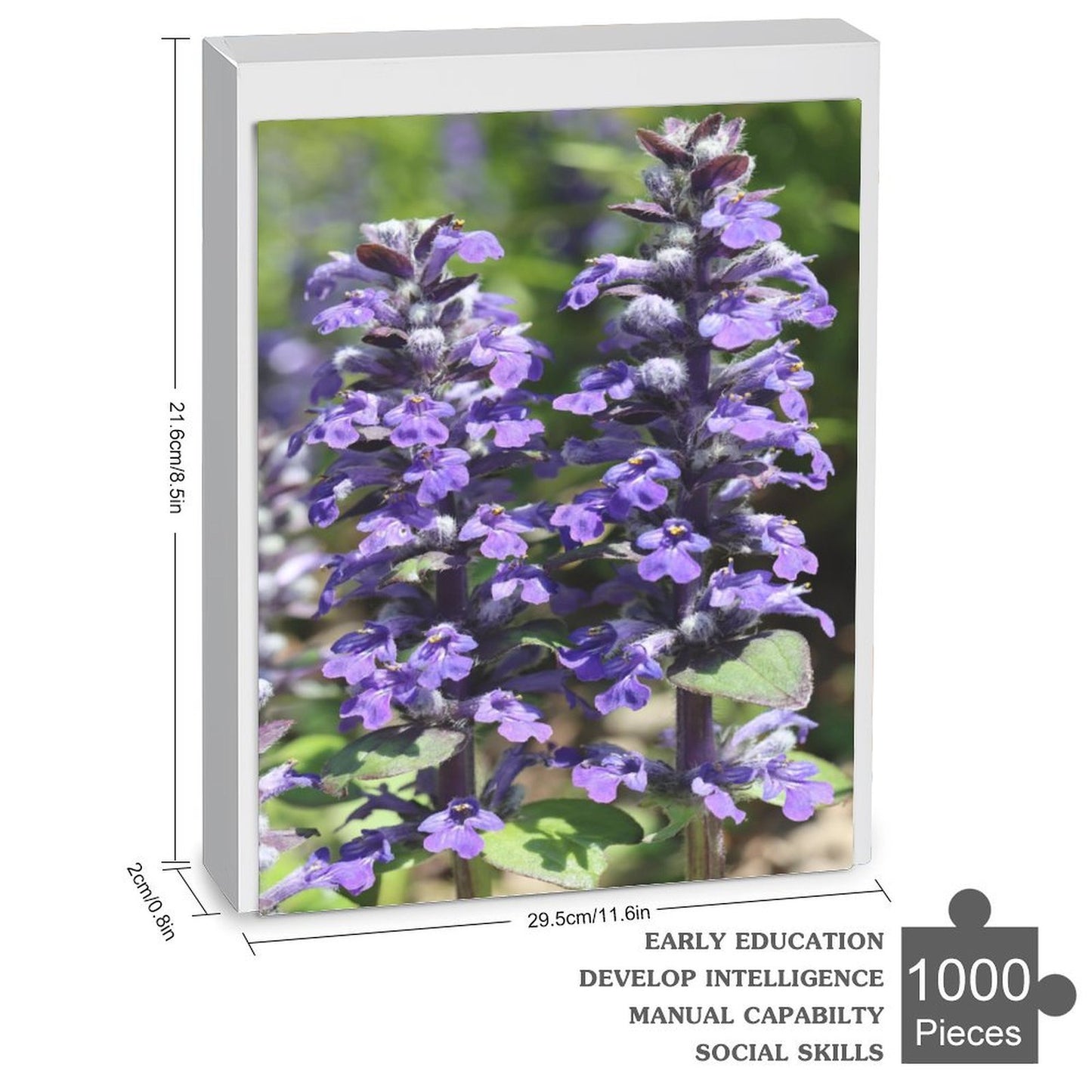 Ajuga reptans - 1000-Piece Jigsaw Puzzle