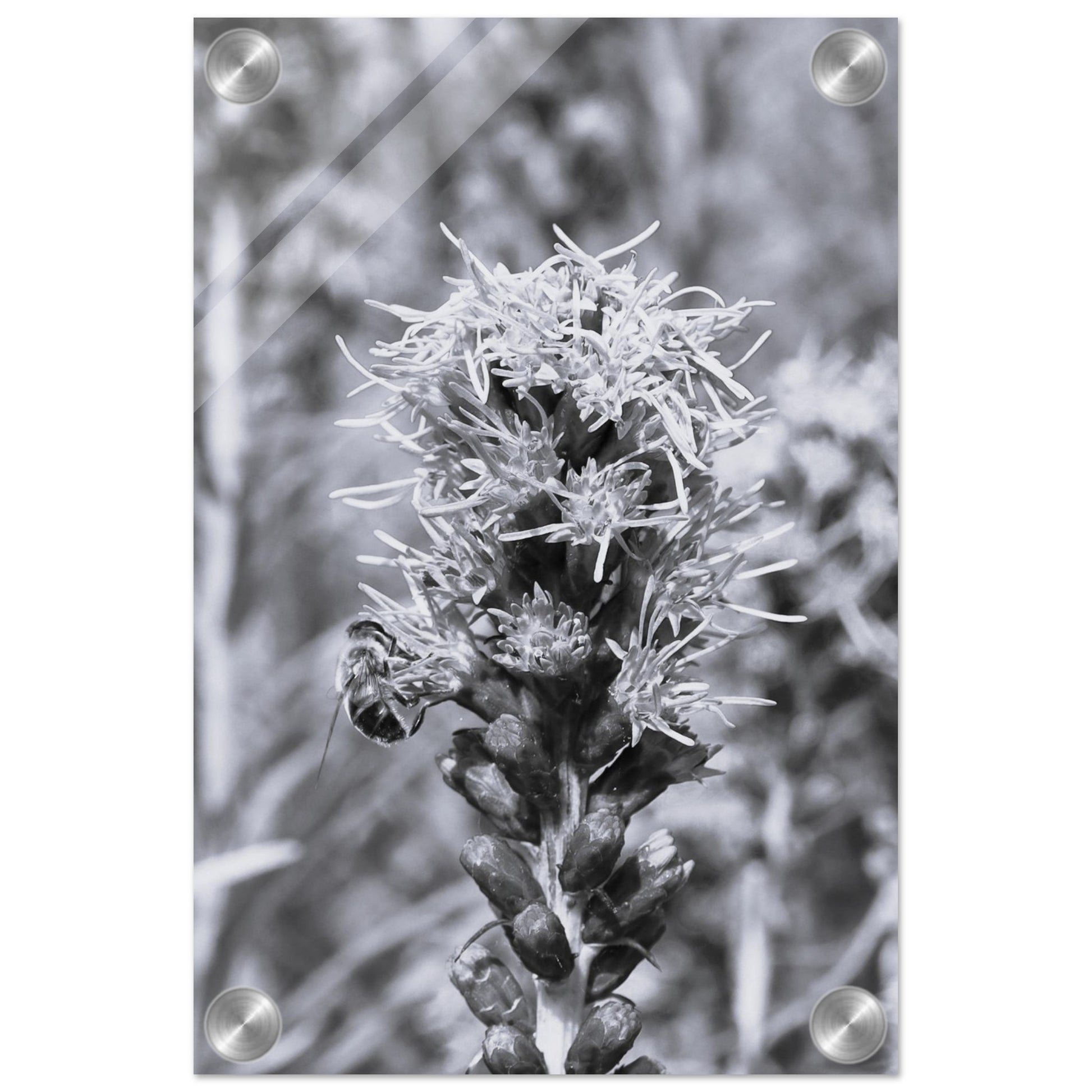 6c26de19-069e-44e2-b918-06092620bf6d