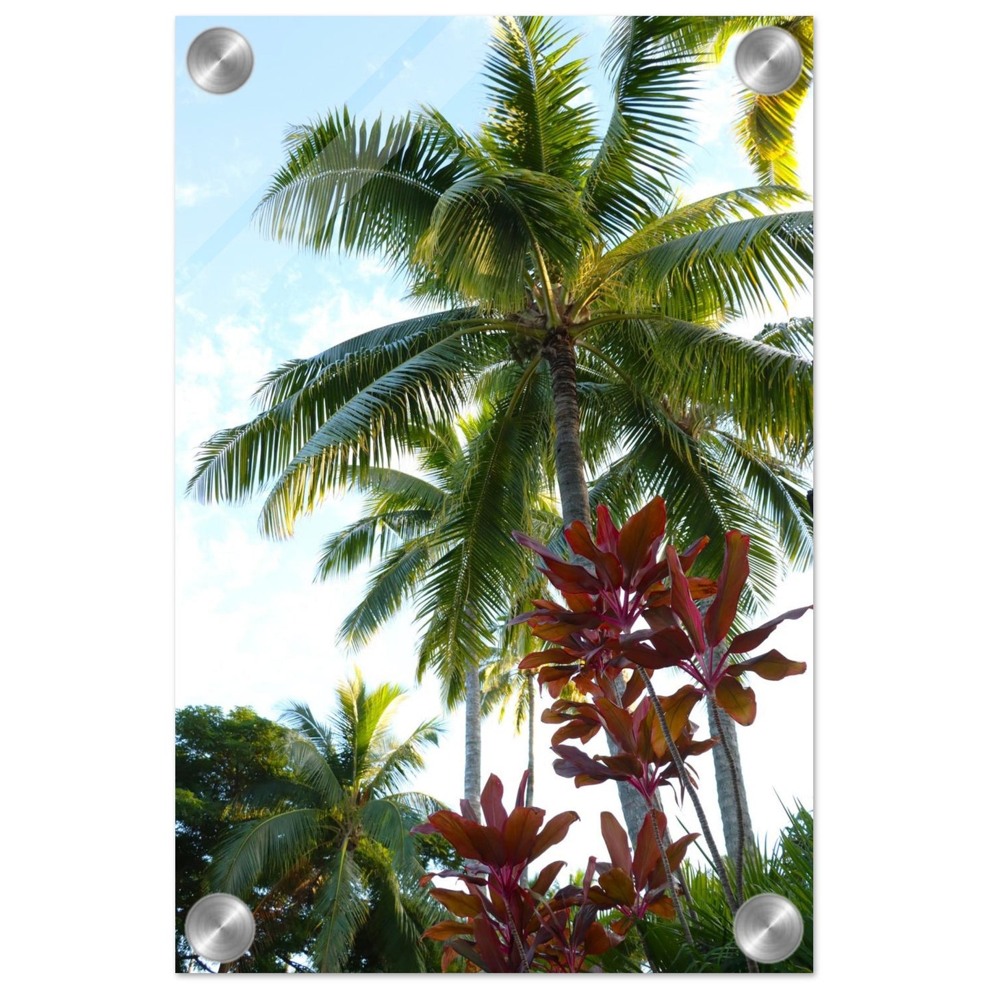 6e343c4e-0bf7-491c-8a00-659db4aaa7c5