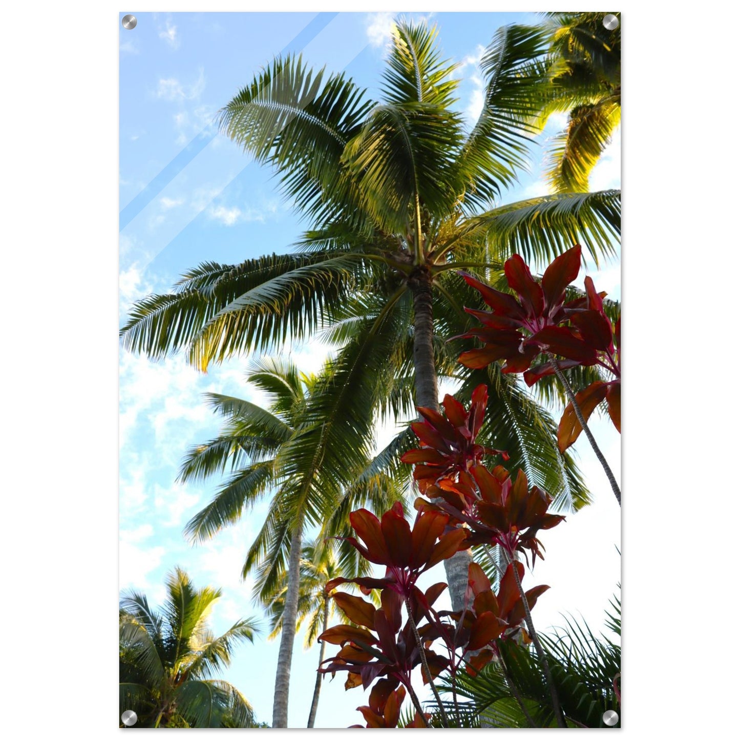 6f013e6e-3a58-4f57-8ac1-8f08a0ad9324