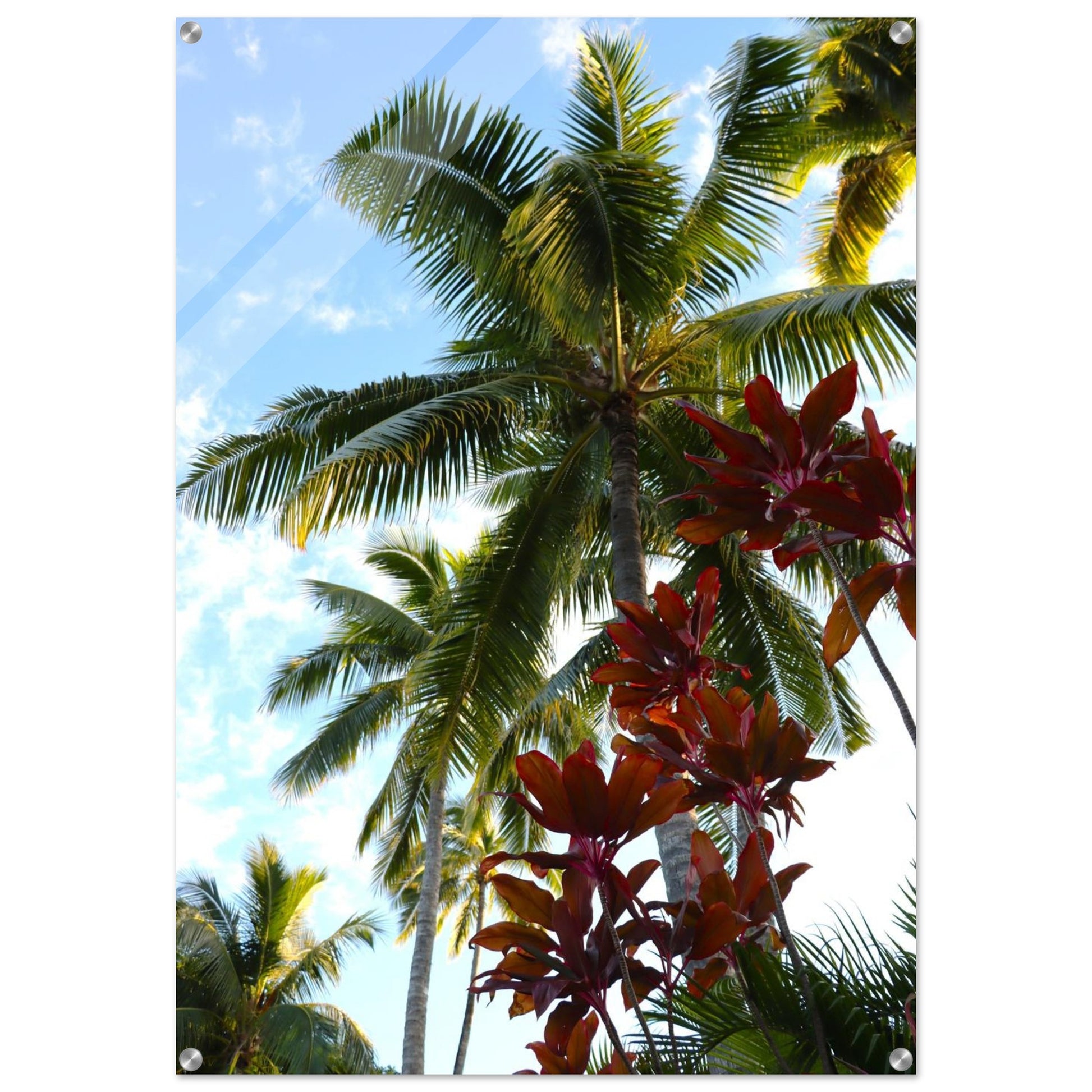 6f013e6e-3a58-4f57-8ac1-8f08a0ad9324