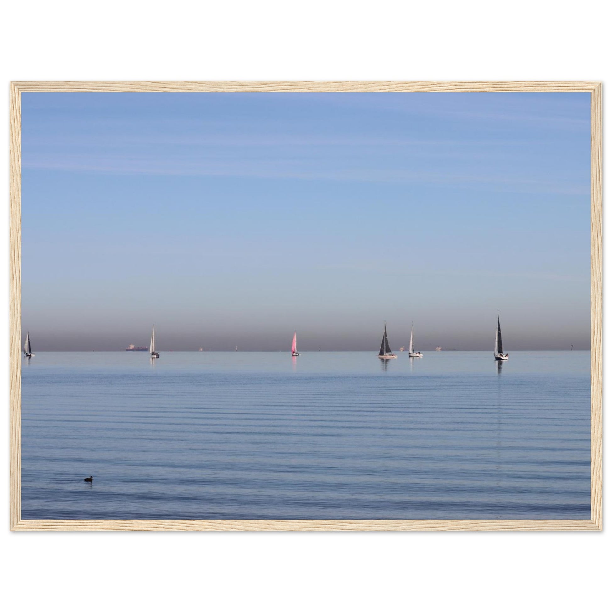 6fa44044-40e1-4d6b-bb31-2727b0daab9b