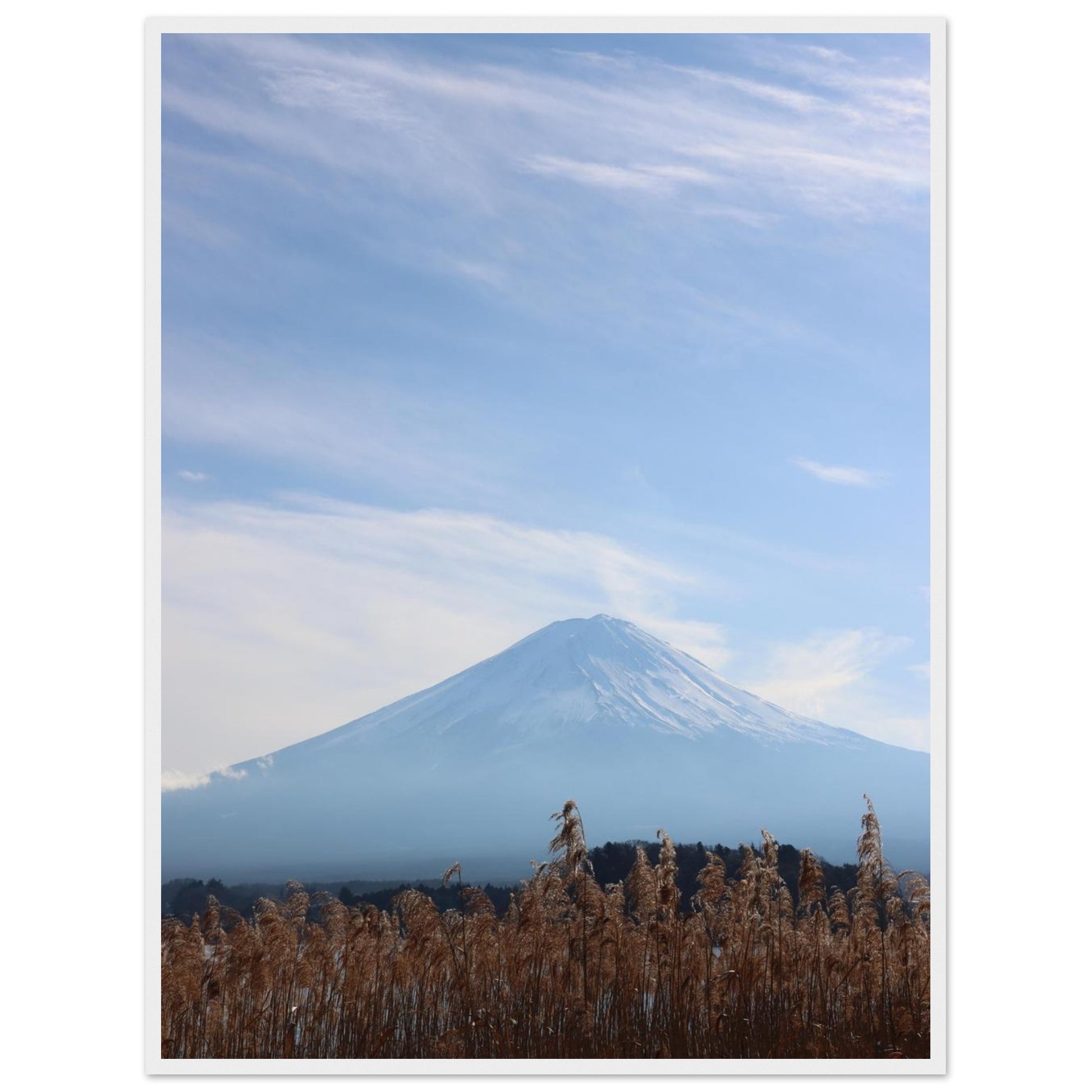 704a057f-88d6-43b5-b4e2-05dd7b127809