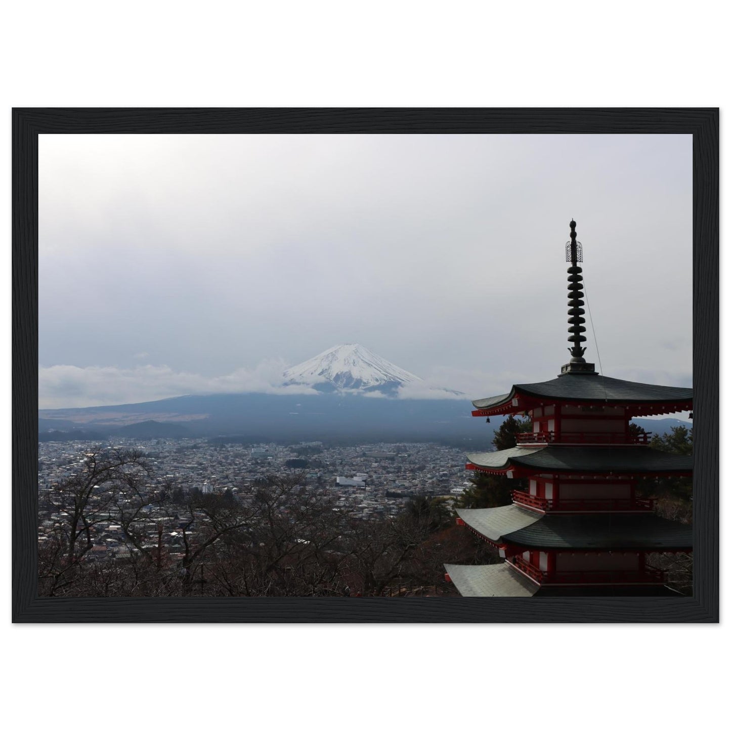 7219ae36-1e1d-4f2f-87b1-ed30c0762d55