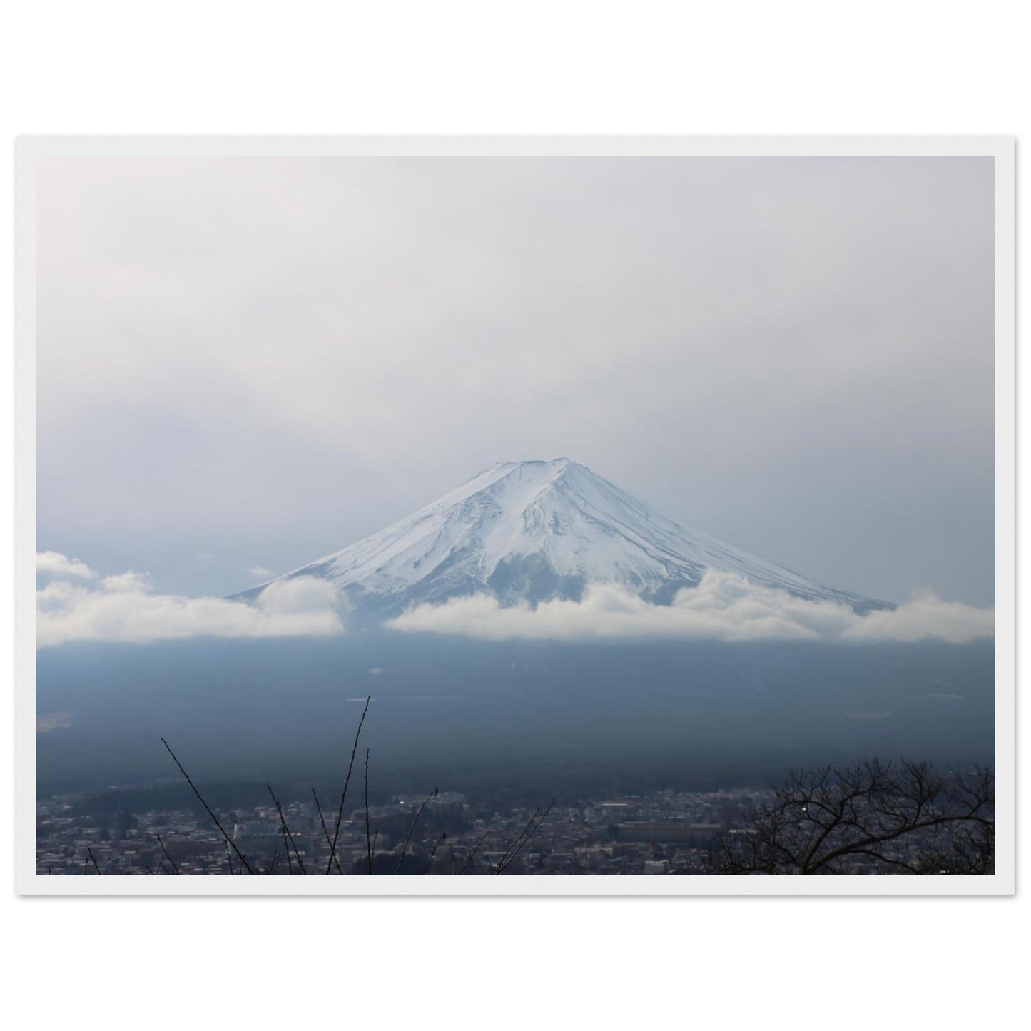 722b43ac-5c41-4c14-b1ae-d2f26268bf23