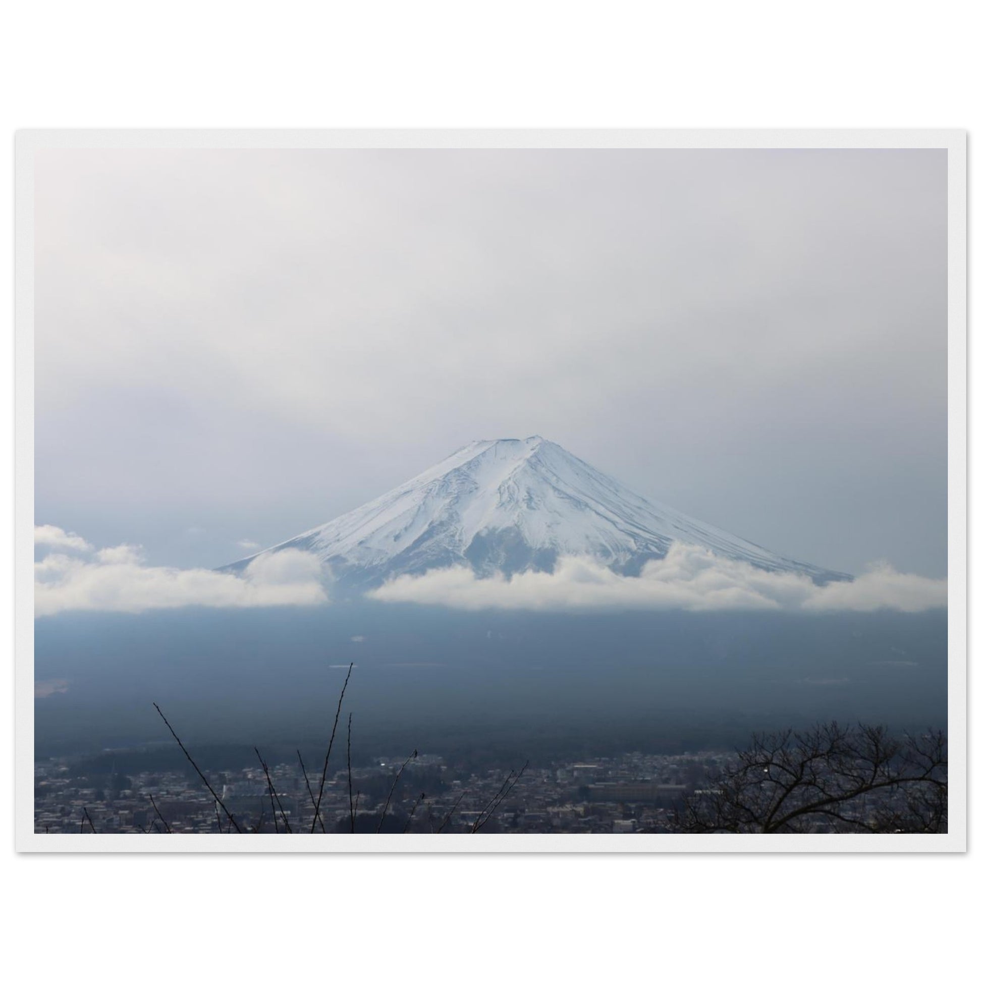 722b43ac-5c41-4c14-b1ae-d2f26268bf23