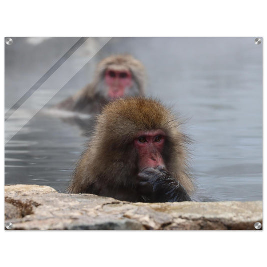 76279ce9-1778-4bea-baff-609cf3c52b93