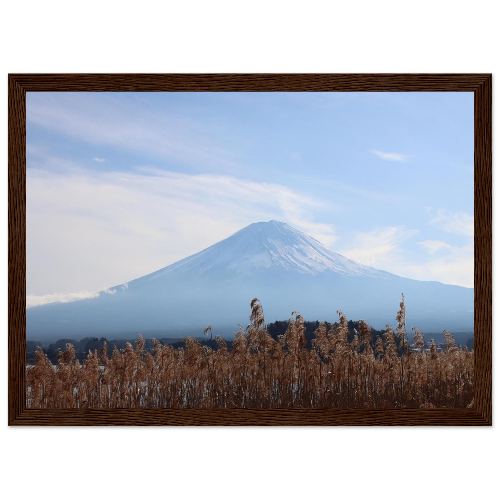 762eb4aa-7786-4c2b-98ff-87d2a965eaae