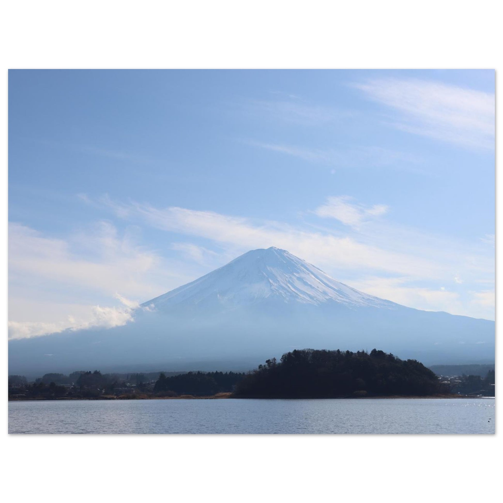 7752e243-e8d2-443a-8cdb-ad1009fcd3d7