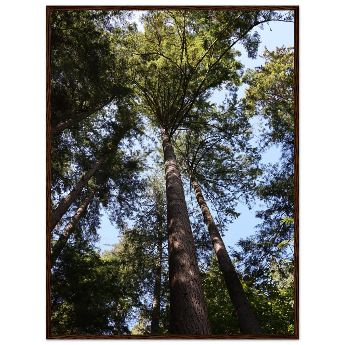 77aa44ef-f65d-46a8-a6ff-6671be72036b