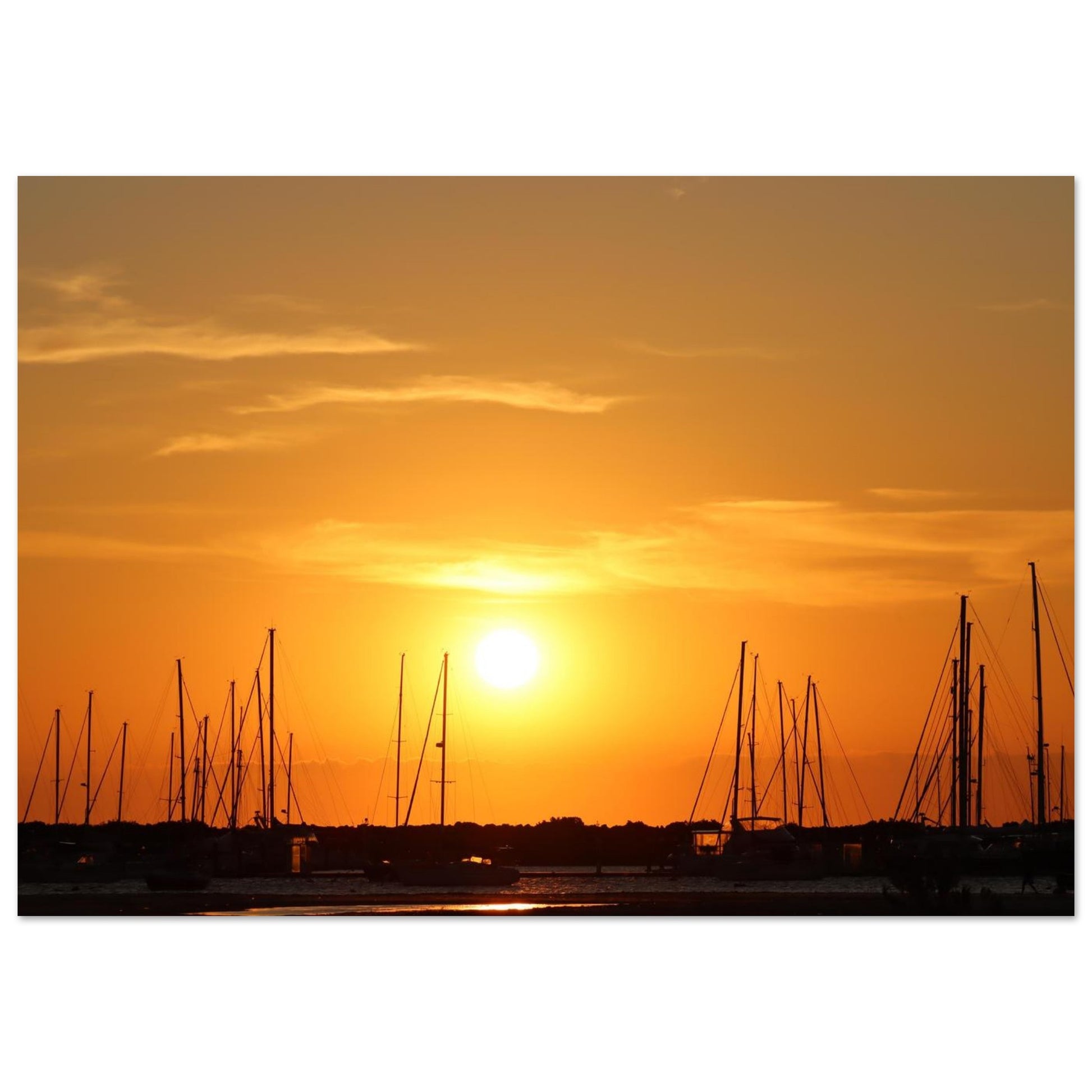 795c9912-32dd-4b6e-8134-2d7e940c2c0b