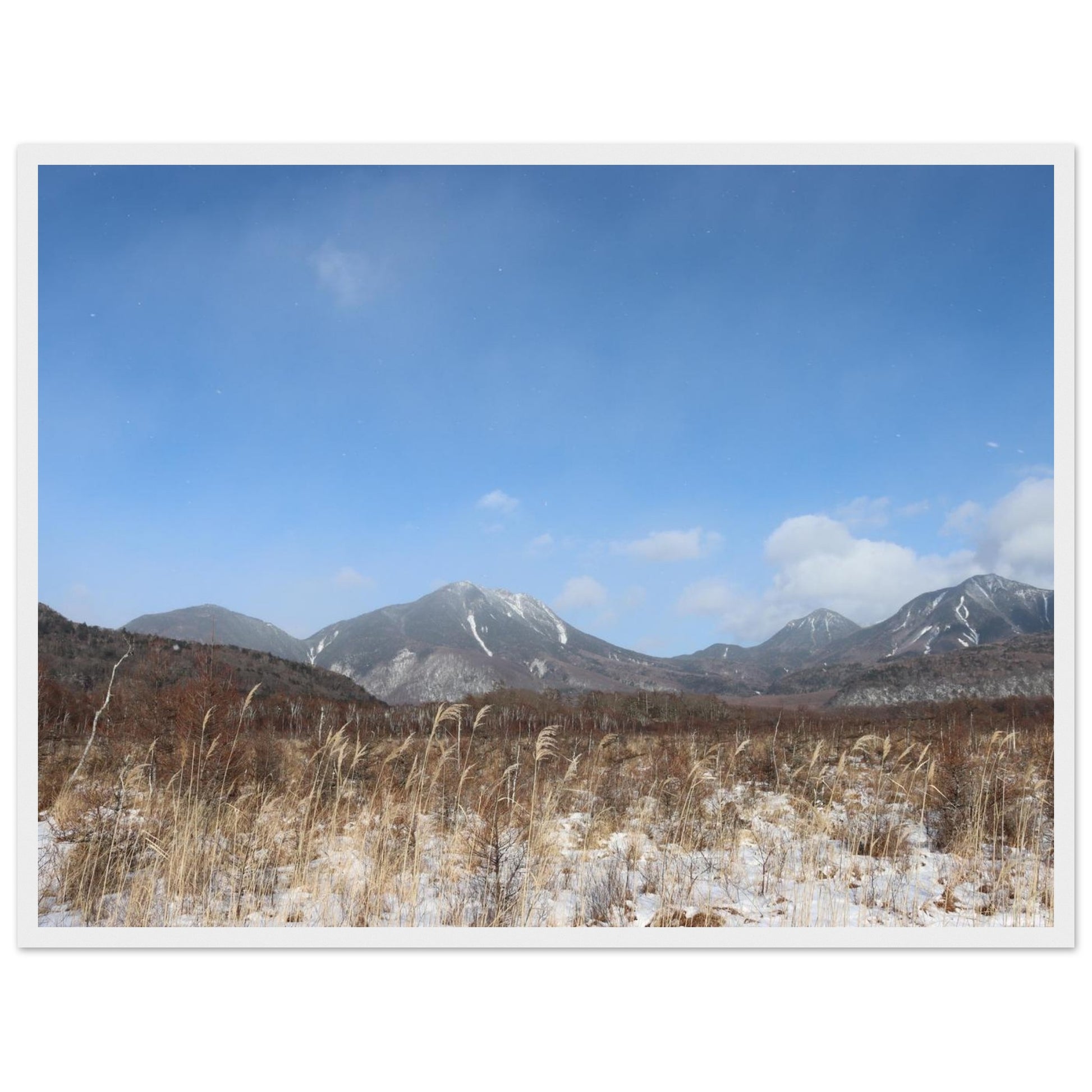 79c6ddde-f1bd-43fc-a768-bd846702525b